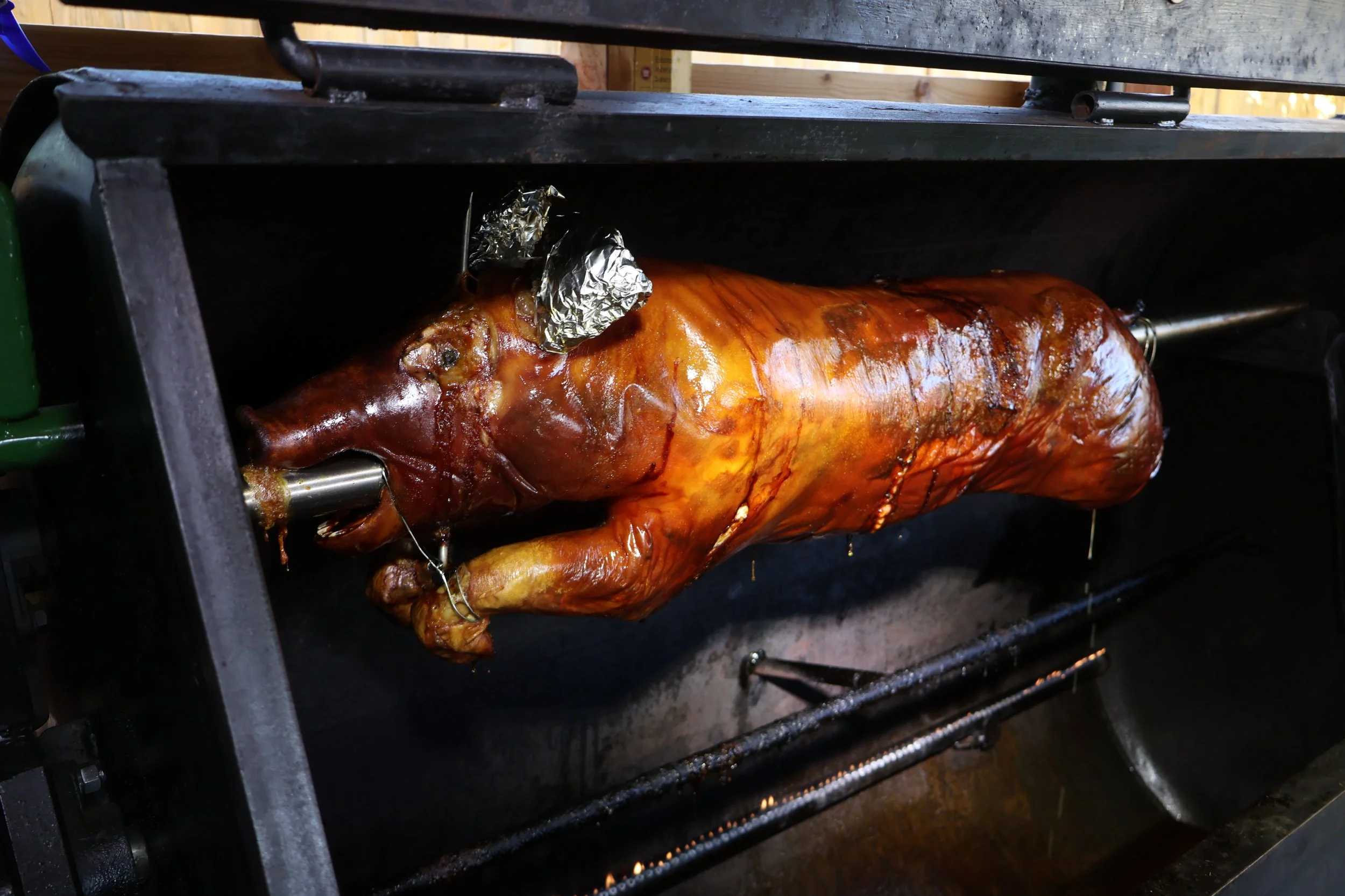 A whole pig roasting on a spit over a grill, covered with a shiny glaze, with aluminum foil on the pig's head.