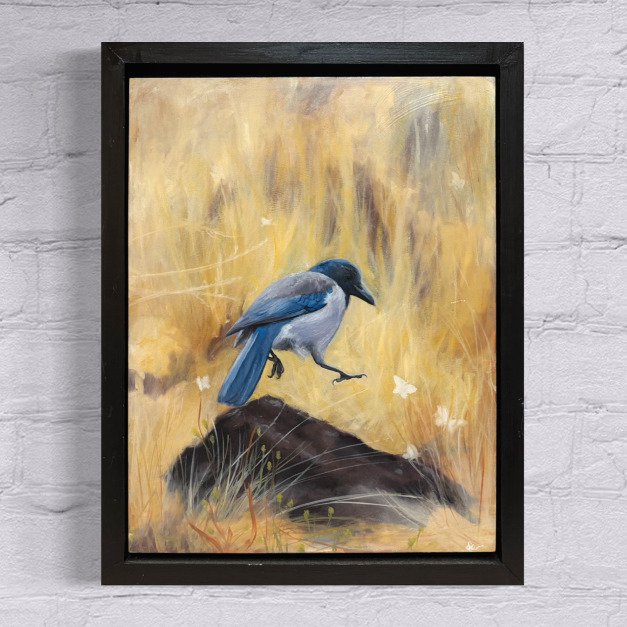"Curious Little Hop" Original Oil Painting