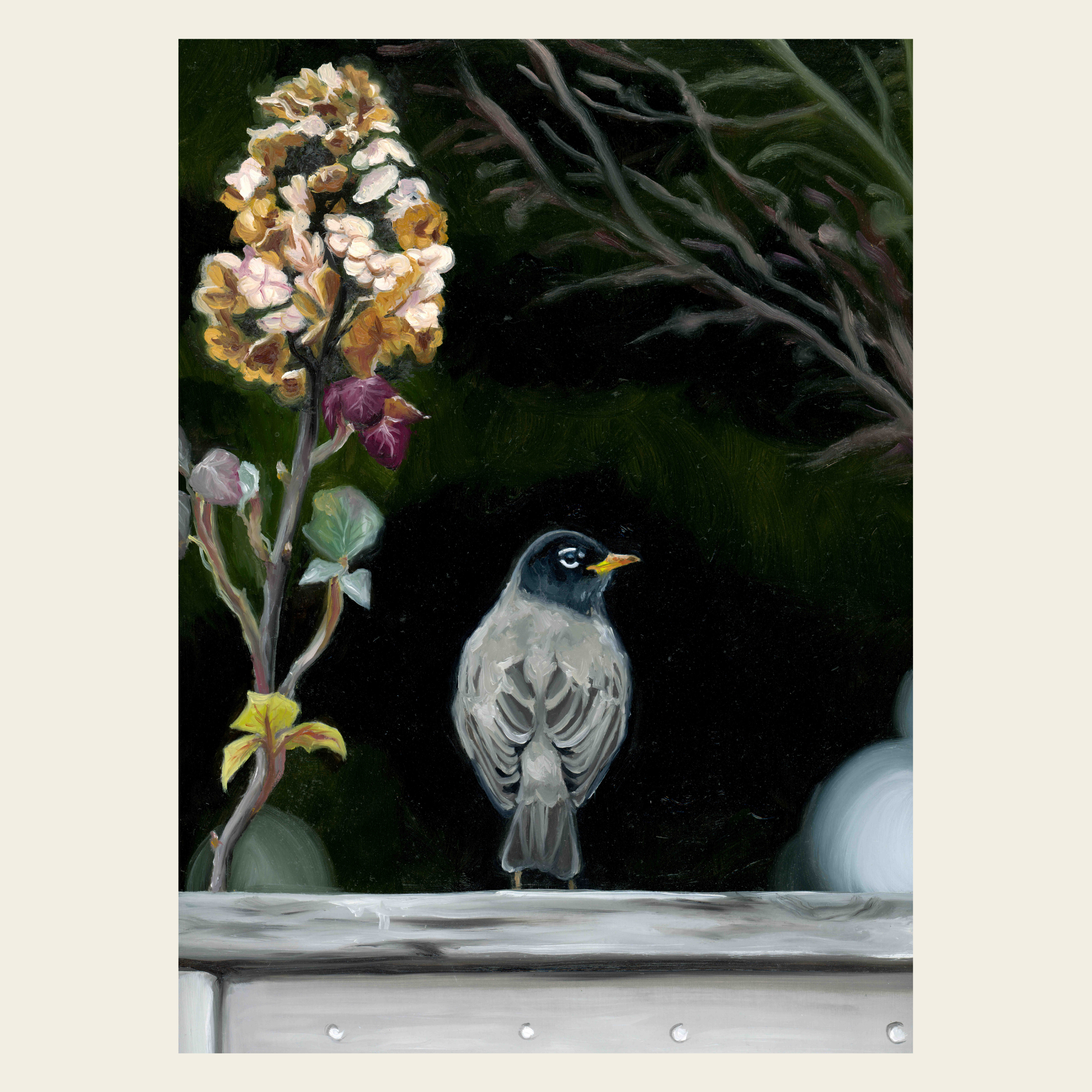 "Autumn Robin" Fine Art Print