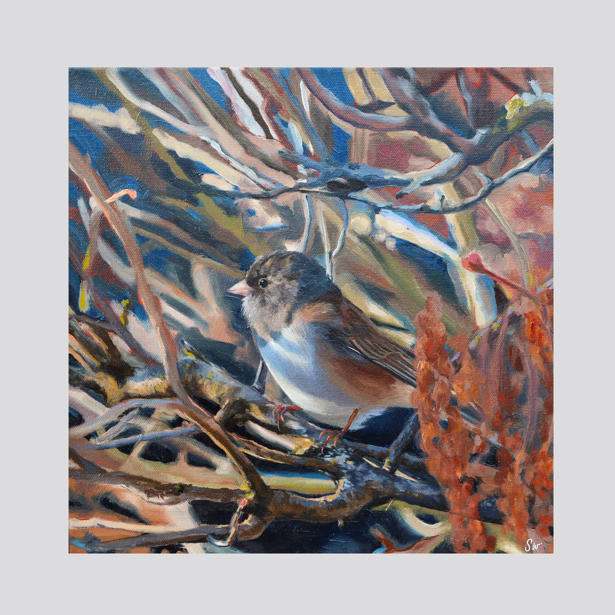 "Tucked Away" Fine Art Print- Junco