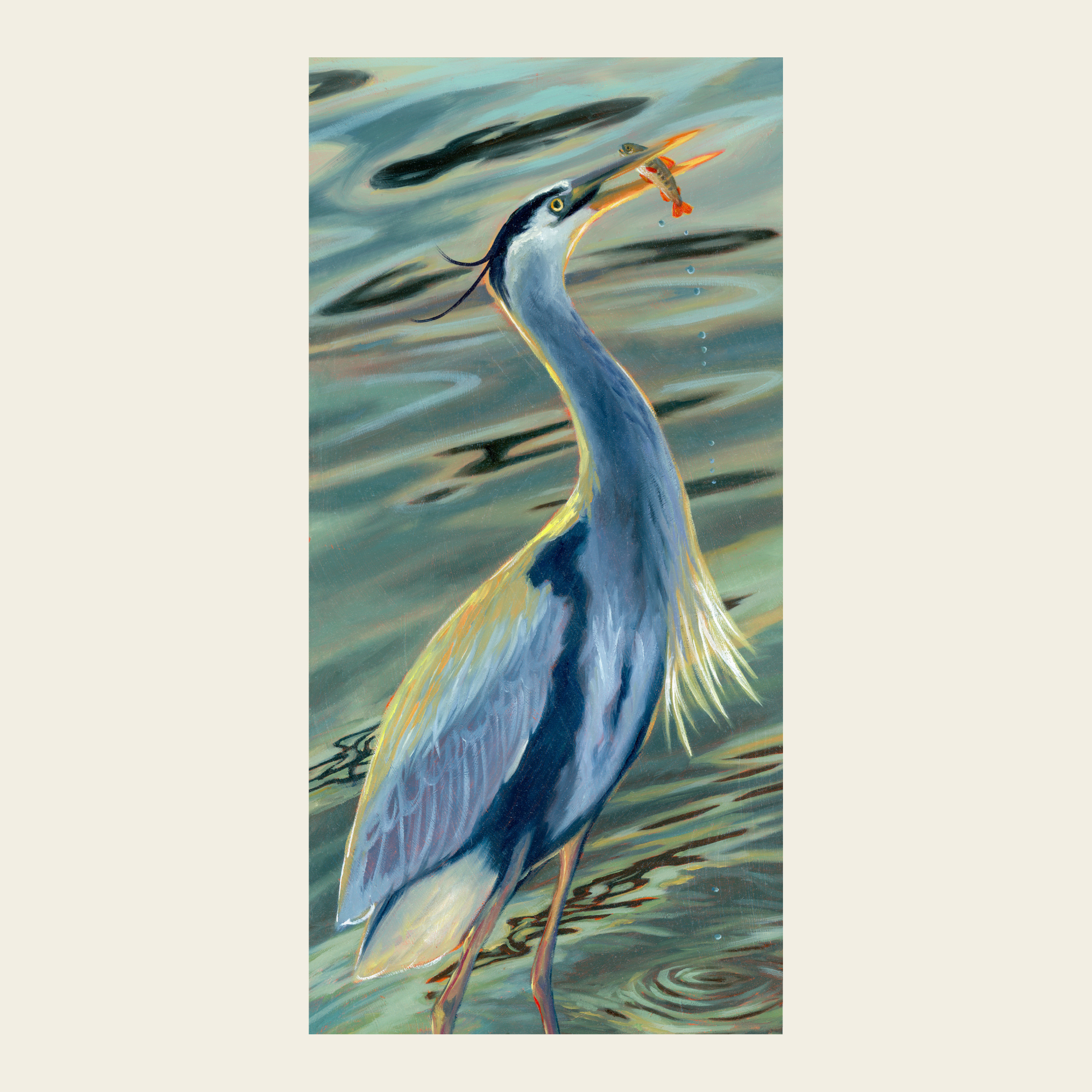 "Great Blue Heron" Fine Art Print