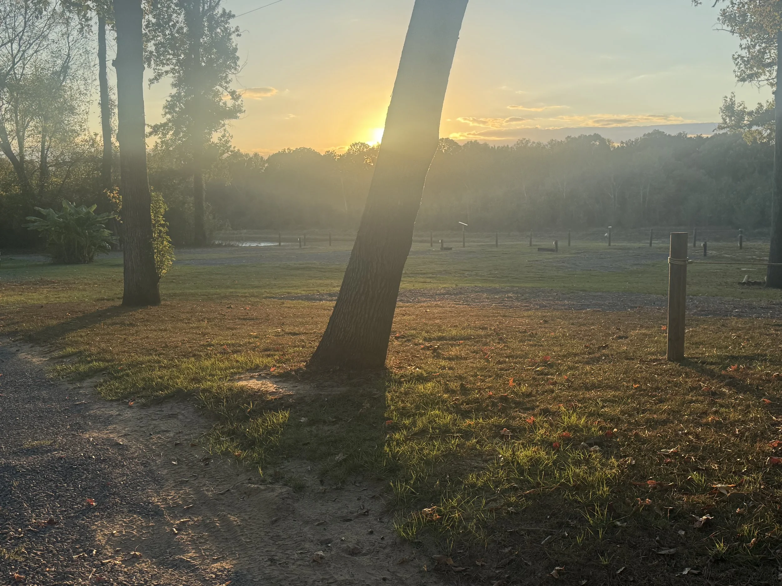 Sunset over a park with tall trees, grassy area, dirt path, and wooden posts.