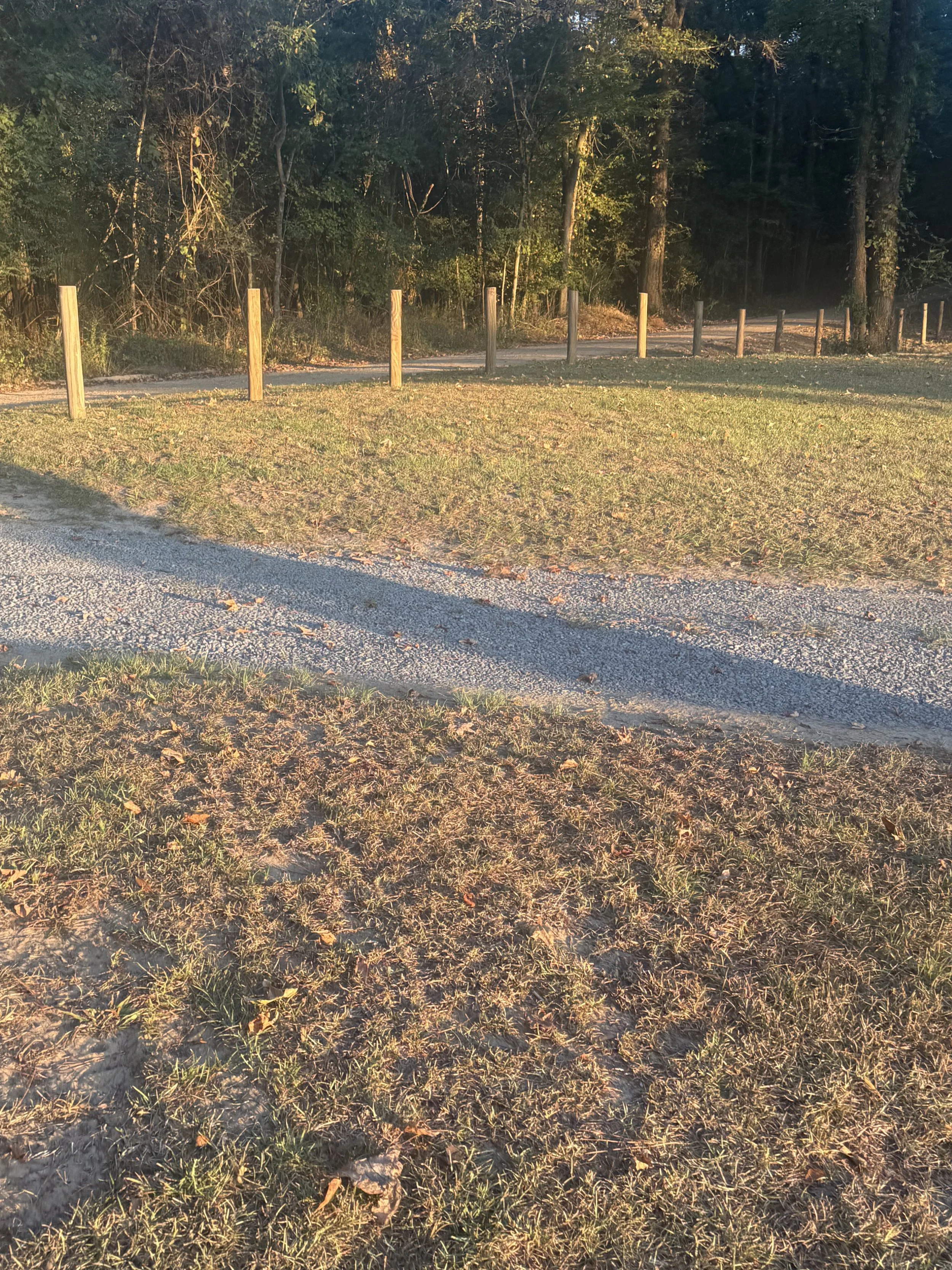 A grassy area with a gravel path, wooden posts, and trees in the background, illuminated by sunlight.