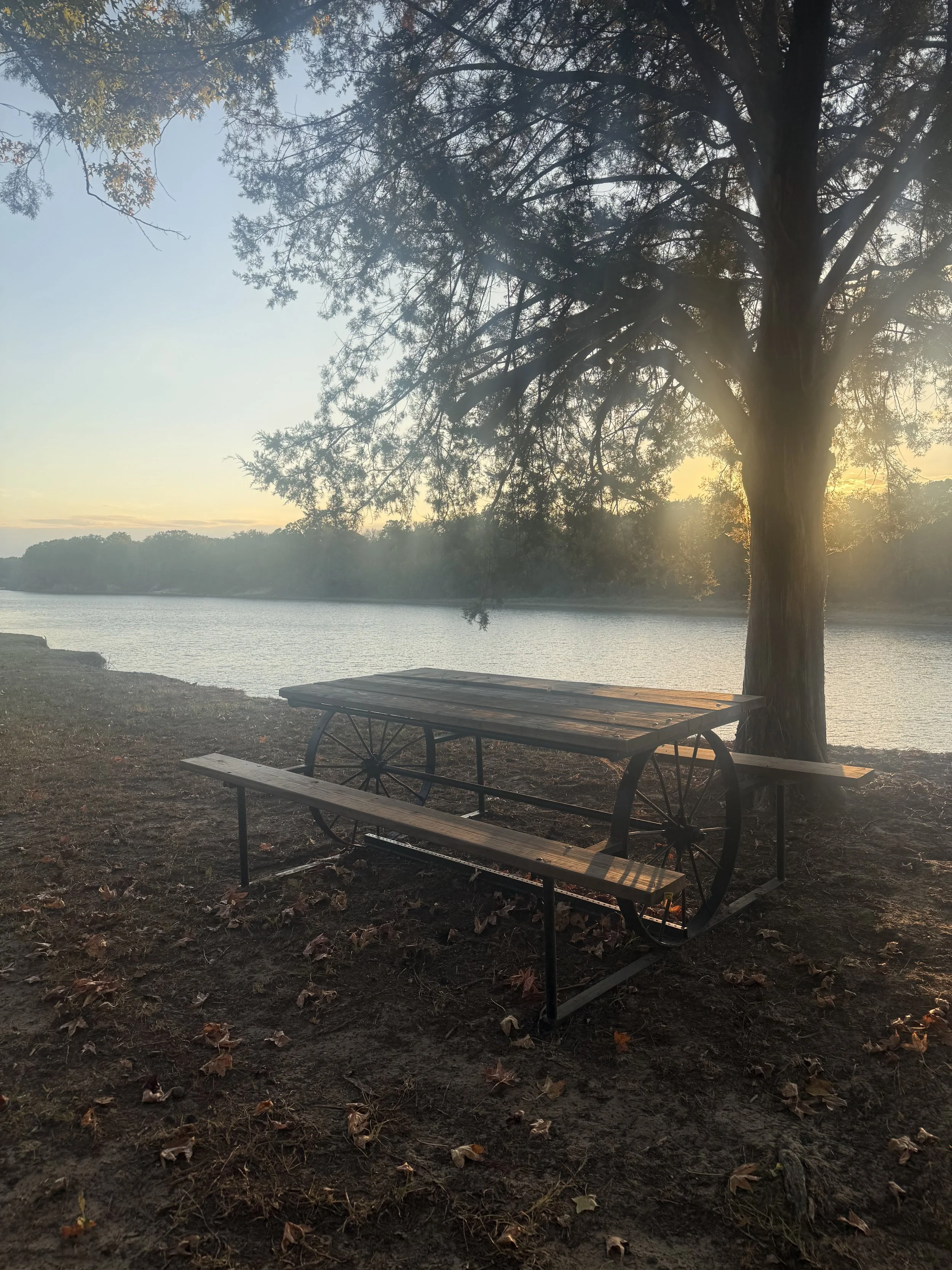 A lakeside scene at sunset with a large tree, a picnic table, and a bench on the ground, with water and a distant shoreline in the background.