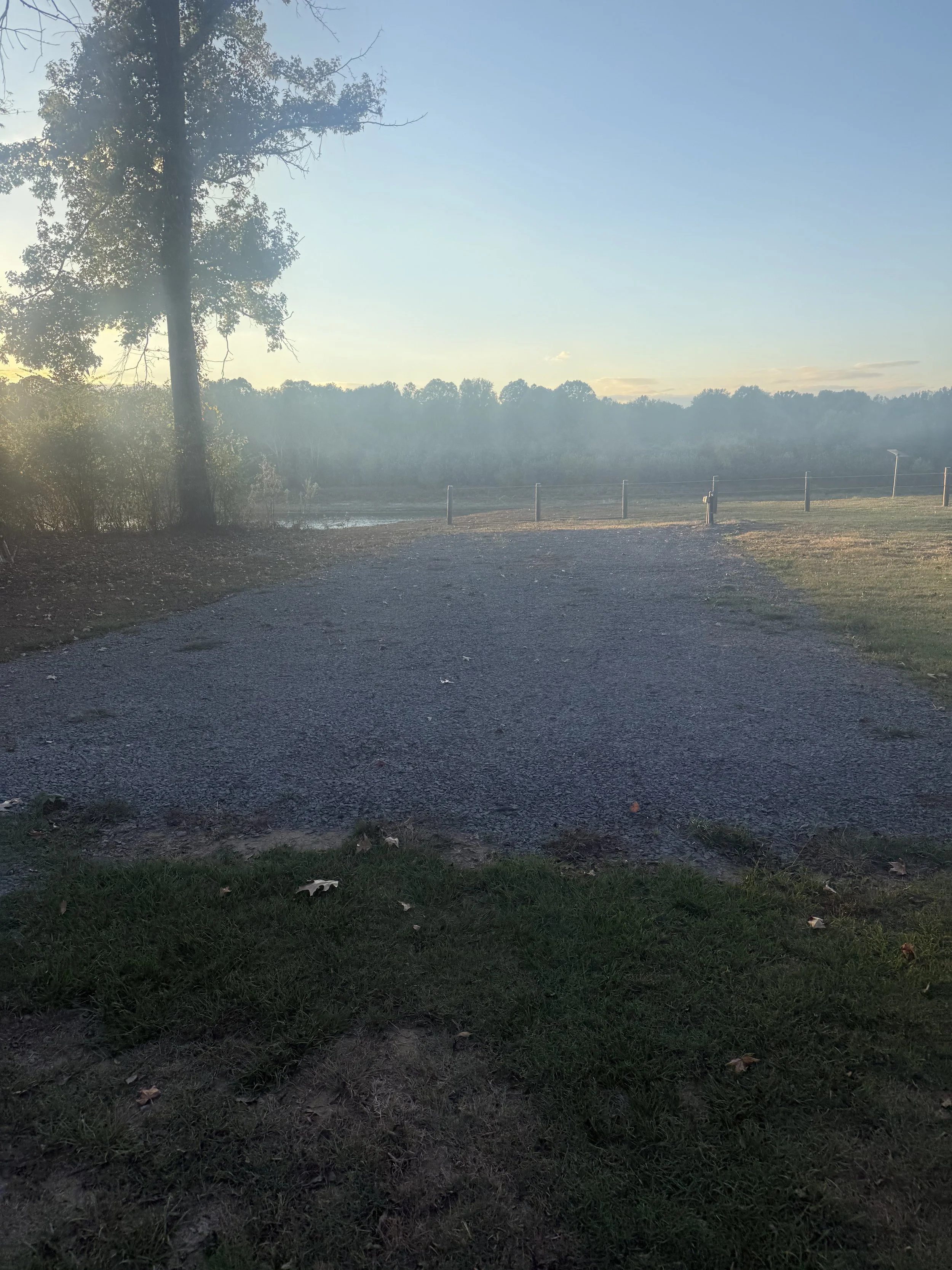 A gravel path leading to a grassy area with trees in the distance, under a clear blue sky with soft sunlight.