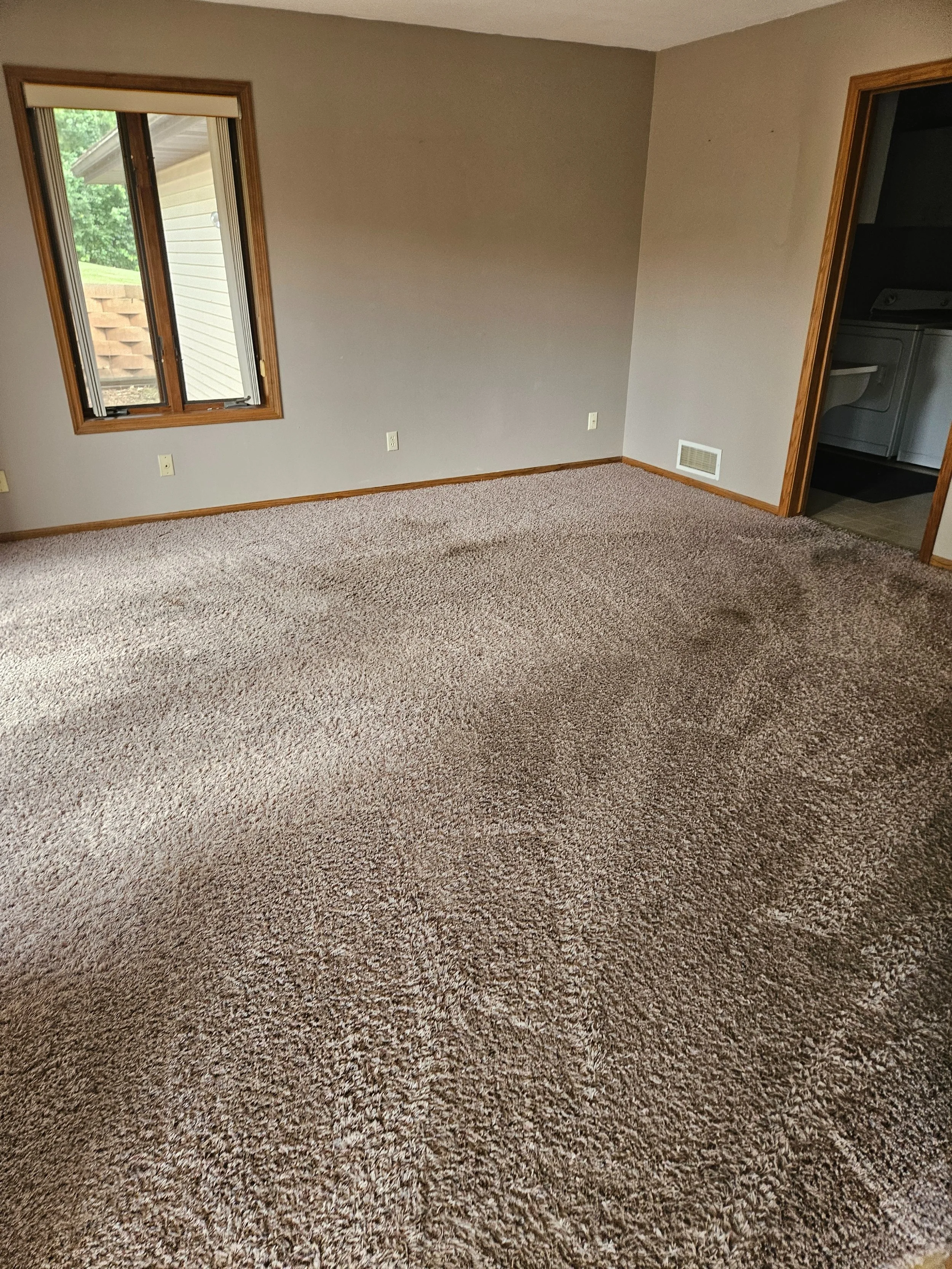 Empty room with beige carpet, light gray walls, wooden window trim, and a door leading to a laundry area with visible washing machine and dryer.