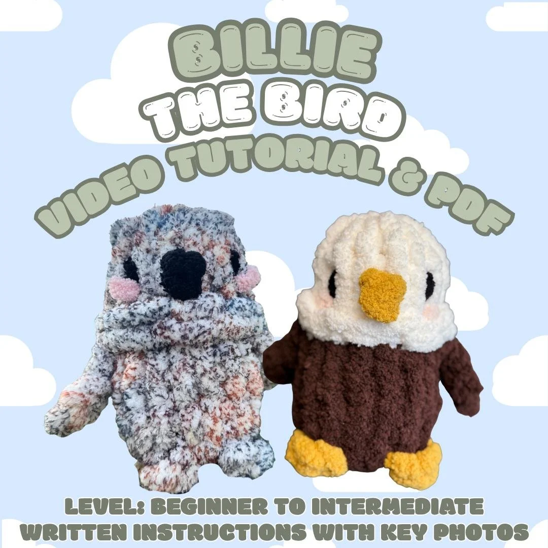 Billie the Bird Plushie Chunky Hand Knit Pattern PDF file, video tutorial, stuffie,  intermediate, jumbo yarn knitting, diy stuffed animal