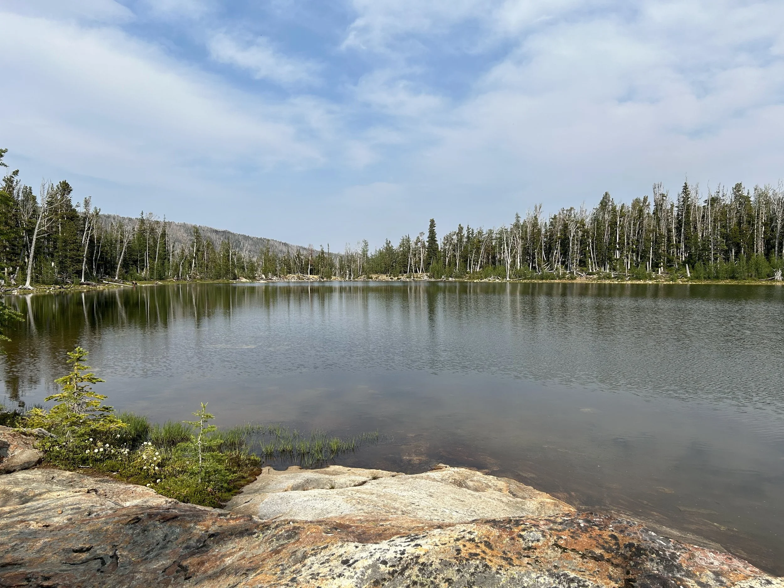 A calm lake surrounded by a forest of evergreen and deciduous trees, with a partly cloudy sky overhead.