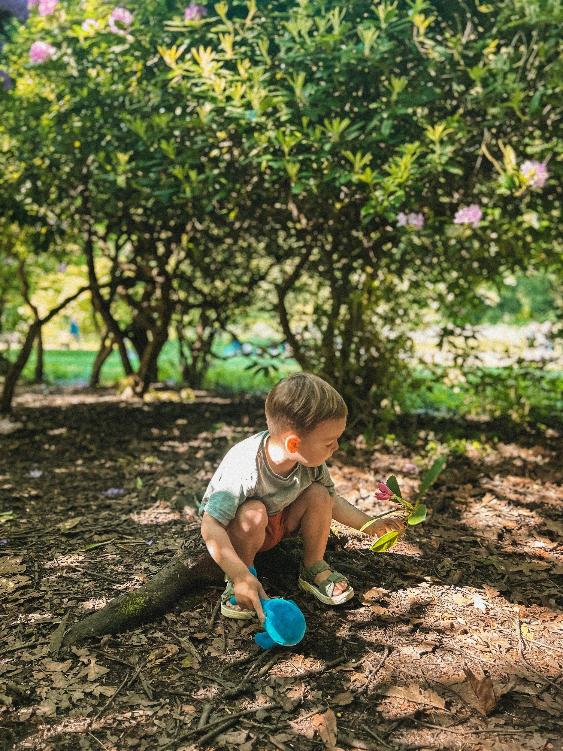 Child exploring nature outdoors with a small shovel among trees and plants.
