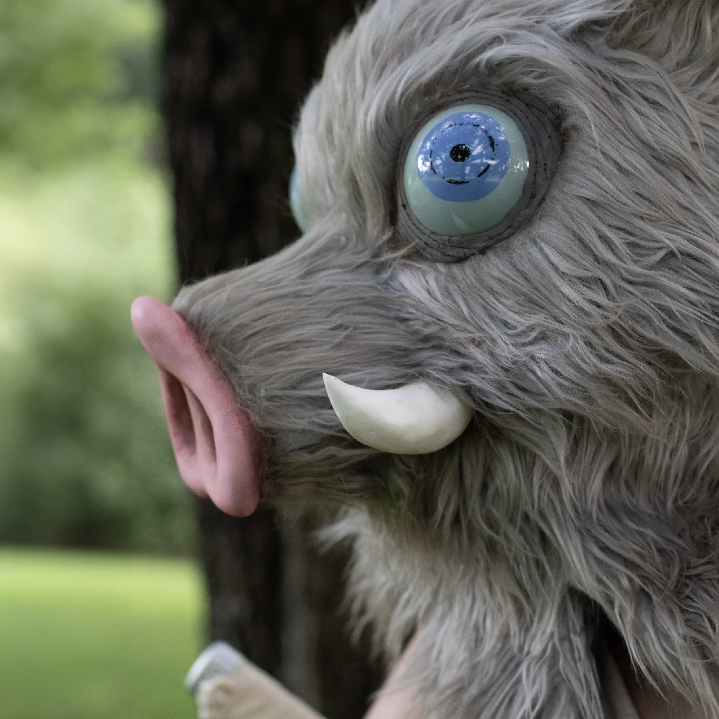 Close-up of a creature with large blue eyes, a pink snout, white tusk, and gray fur.