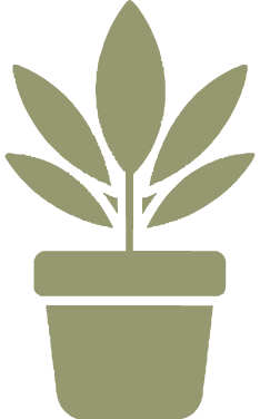 Silhouette of a potted plant with multiple leaves.