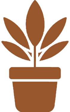 A simple brown icon of a potted plant with multiple leaves.