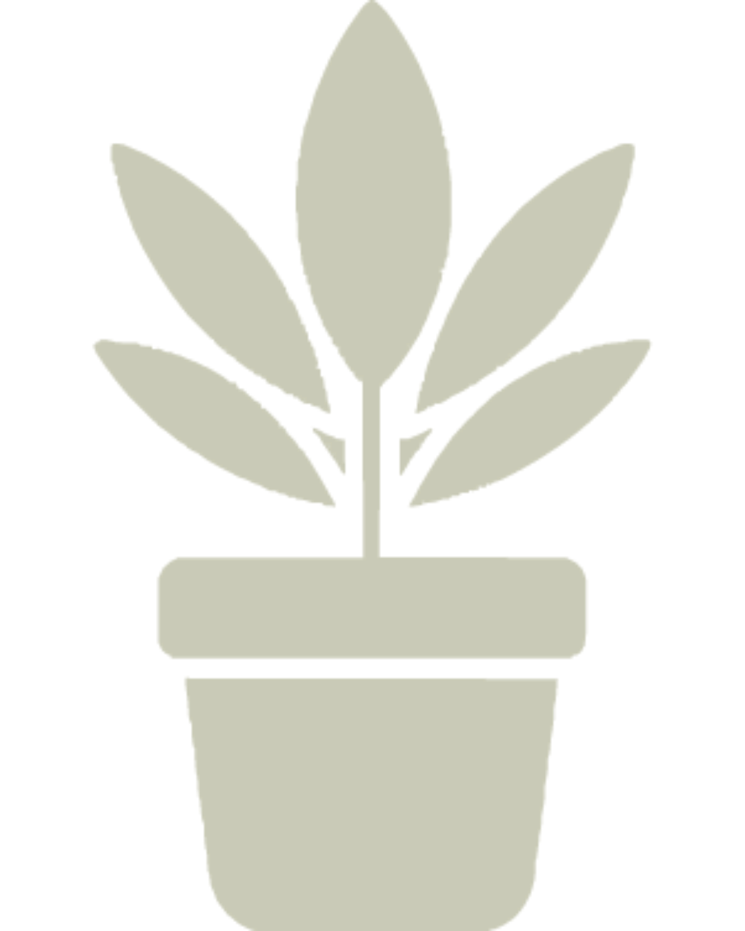 Icon of a potted plant with multiple leaves.