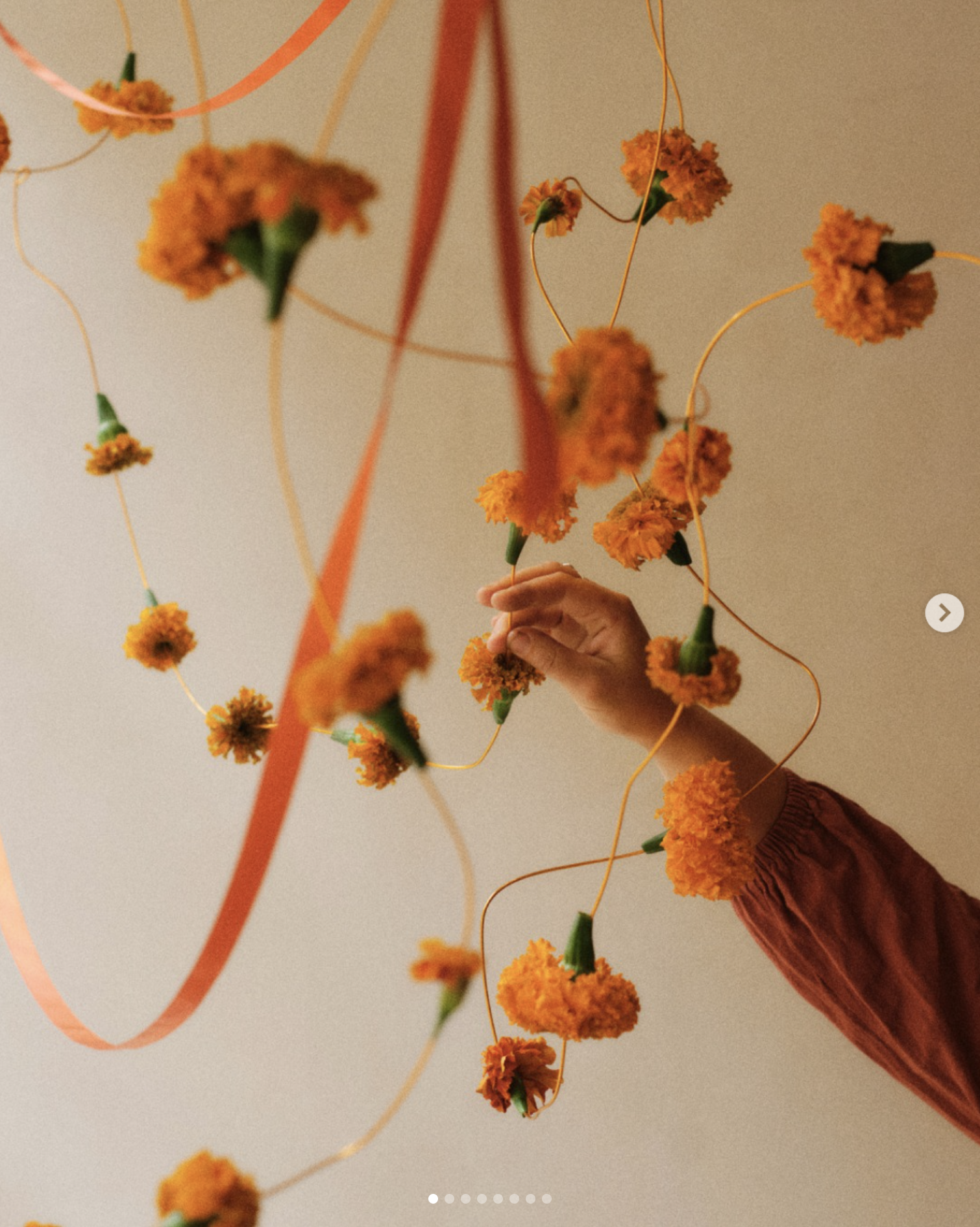 1-Month Subscription