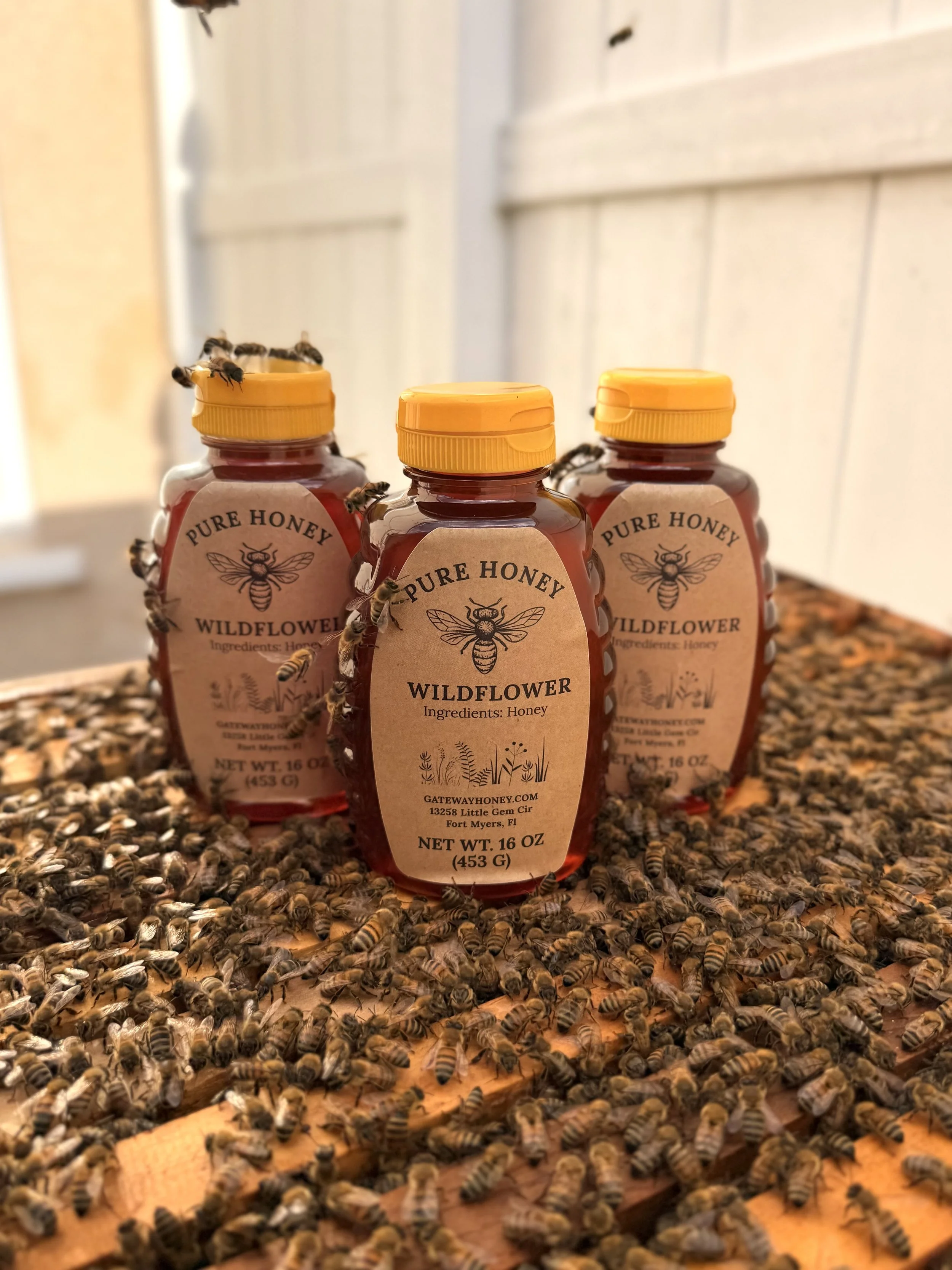 16 oz Honey (Squeezable)