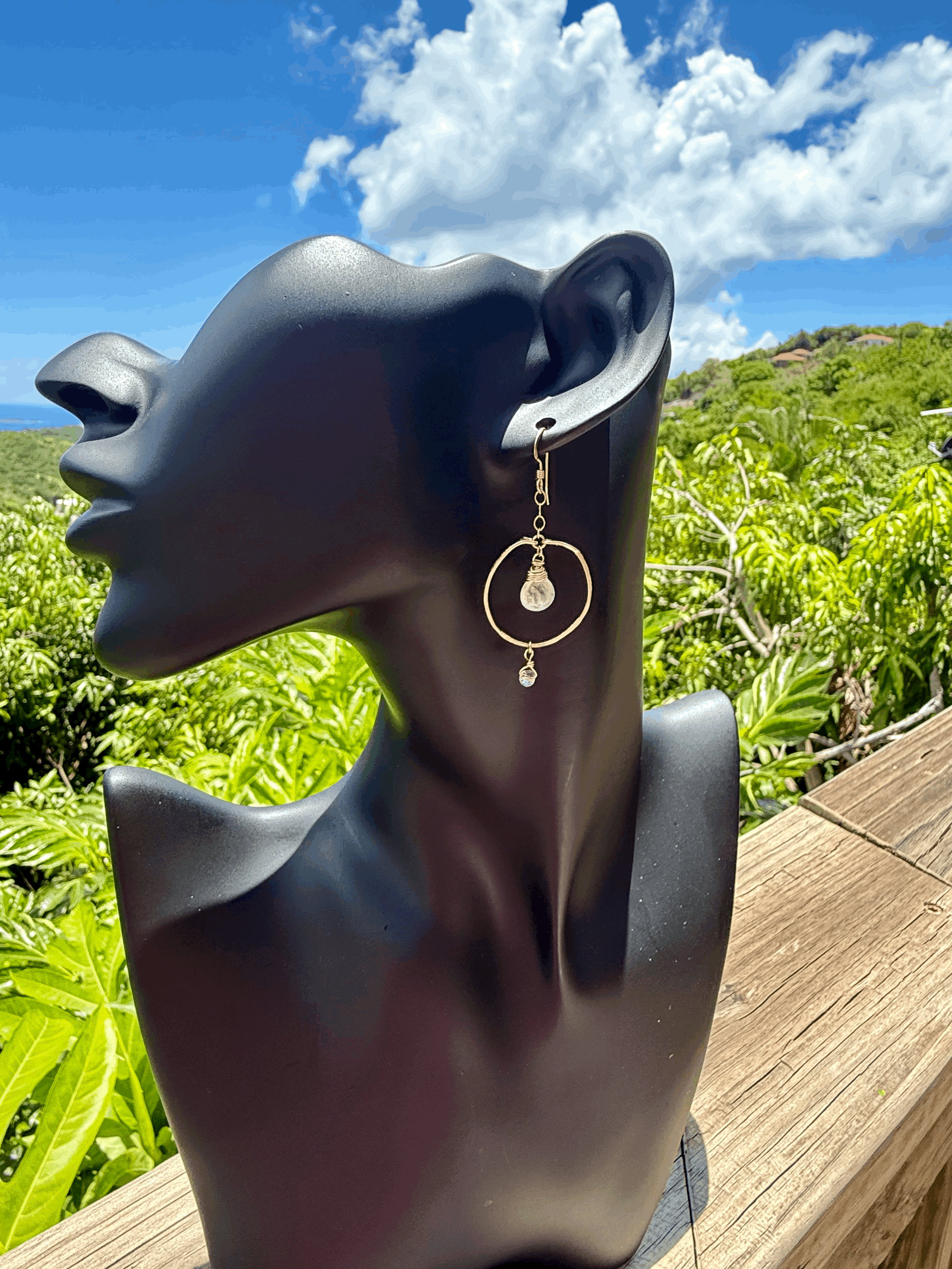 Hawksnest Moon Hoops