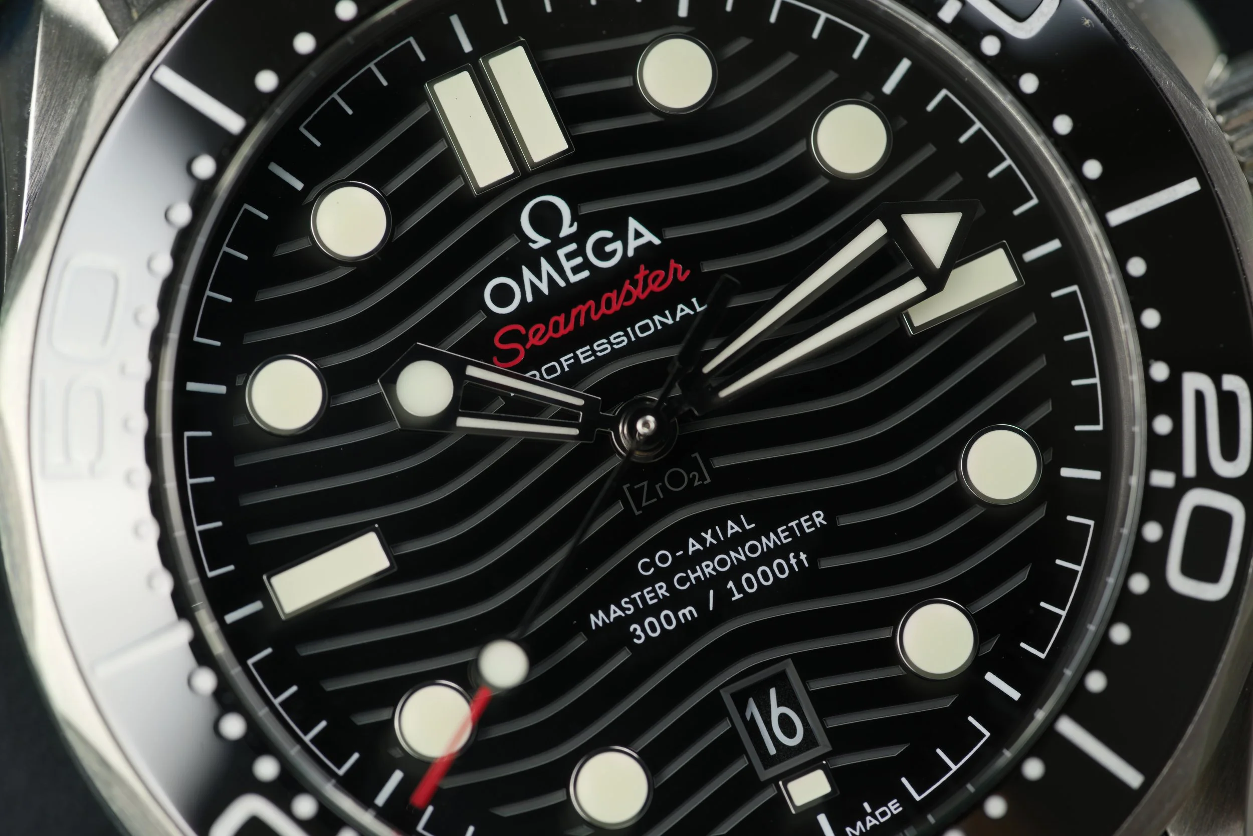 GIM00827.jpg