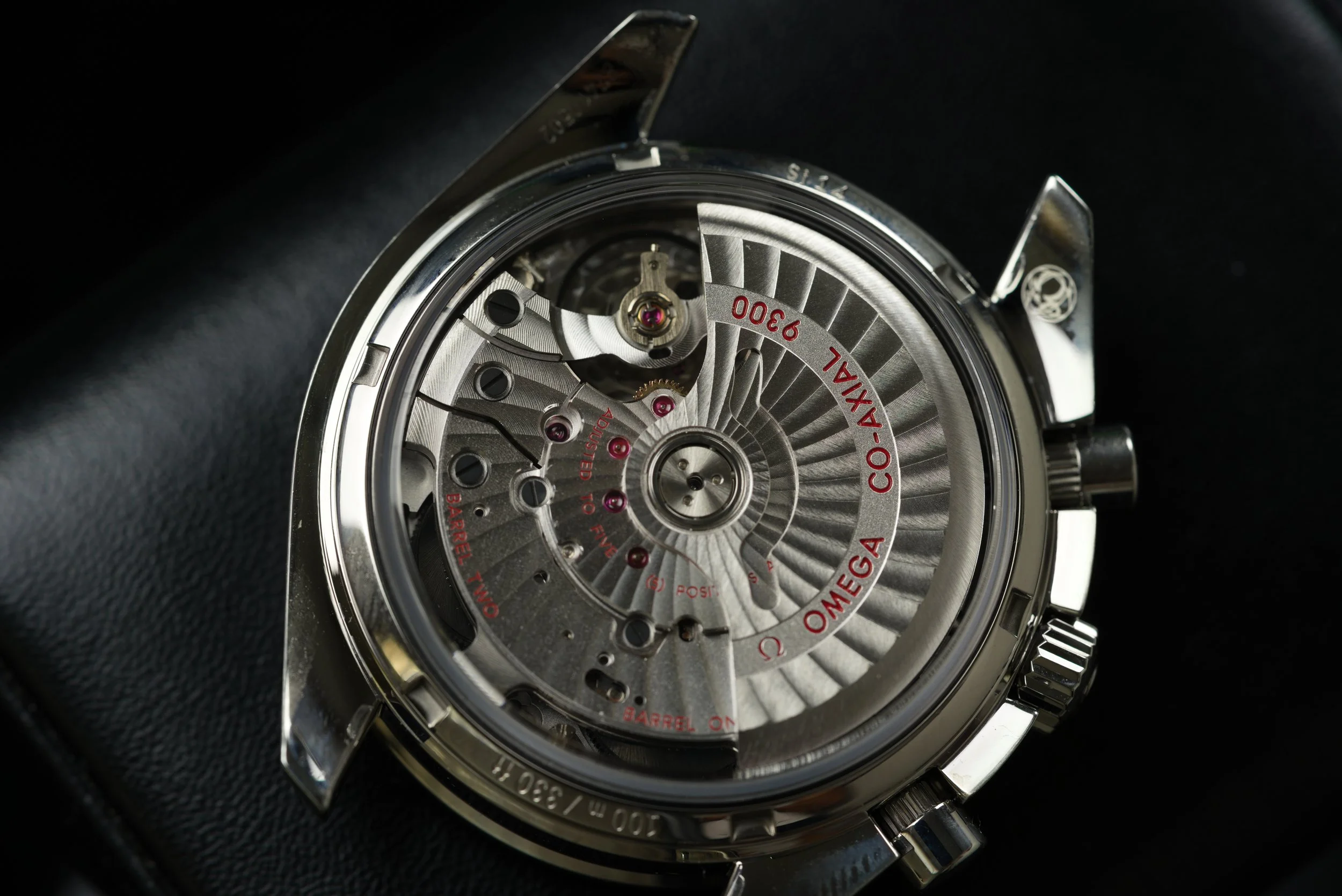 GIM00745.jpg