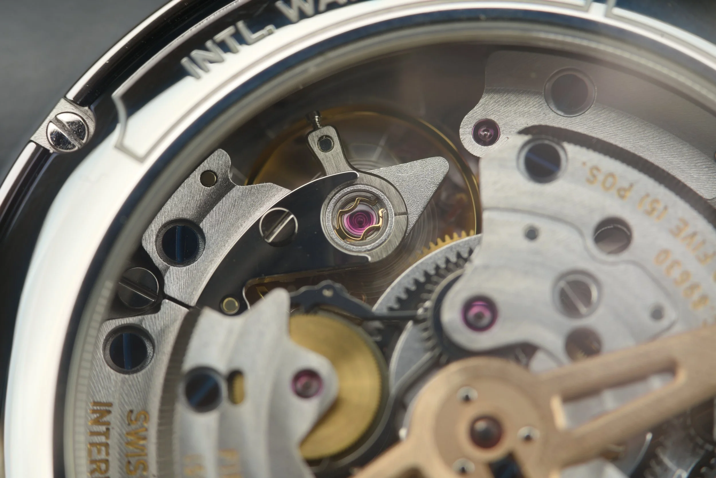 GIM00935.jpg