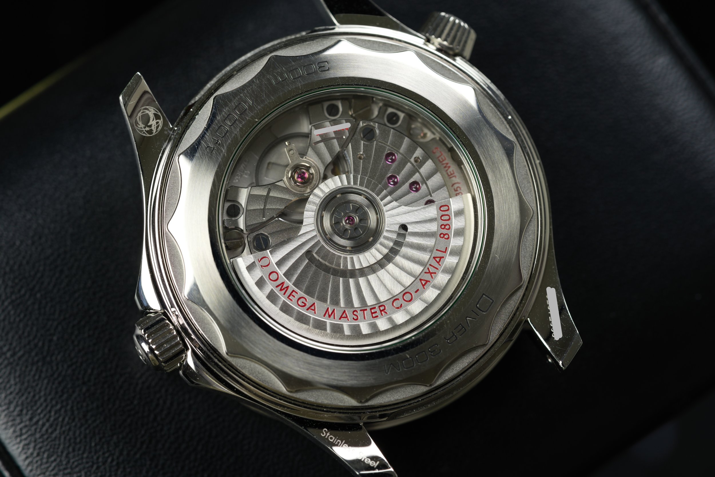 GIM00809.jpg