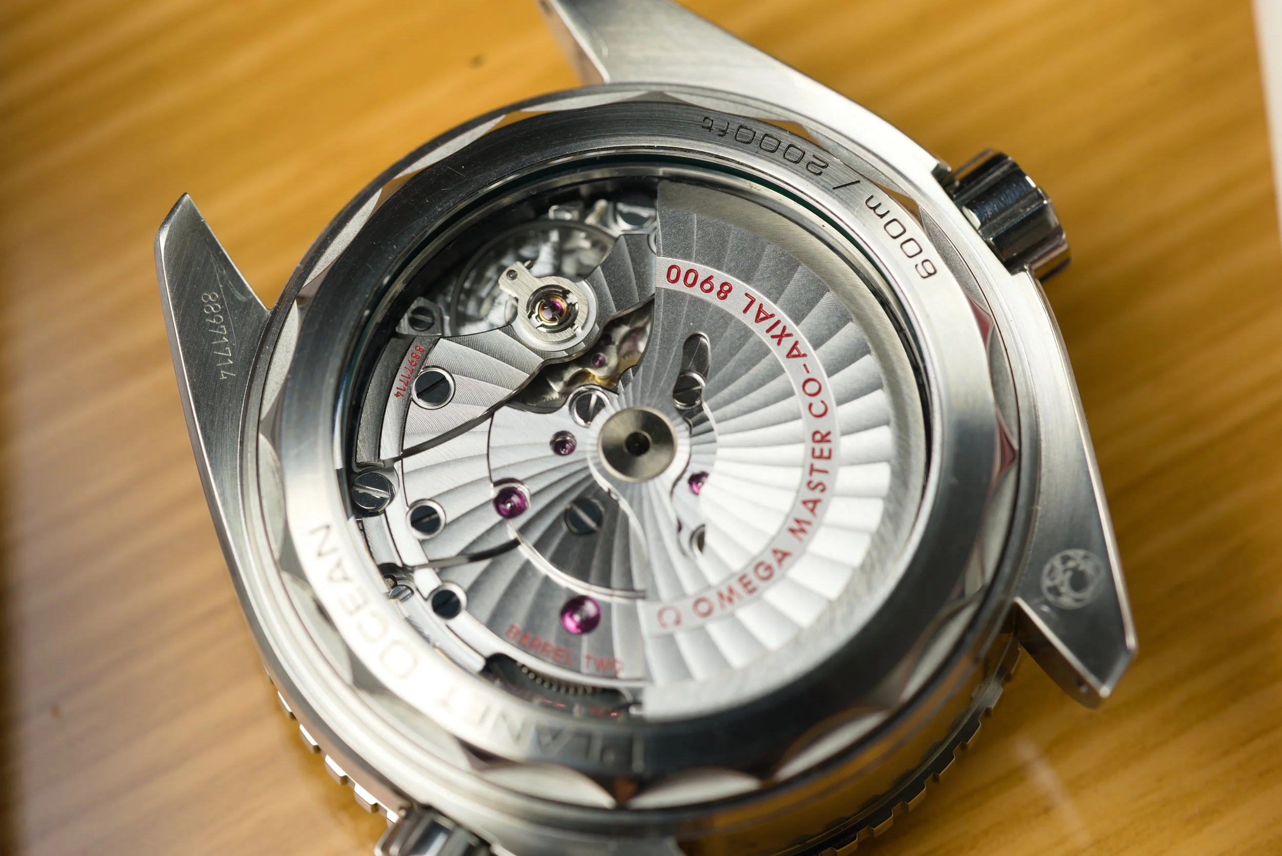GIM00290.jpg