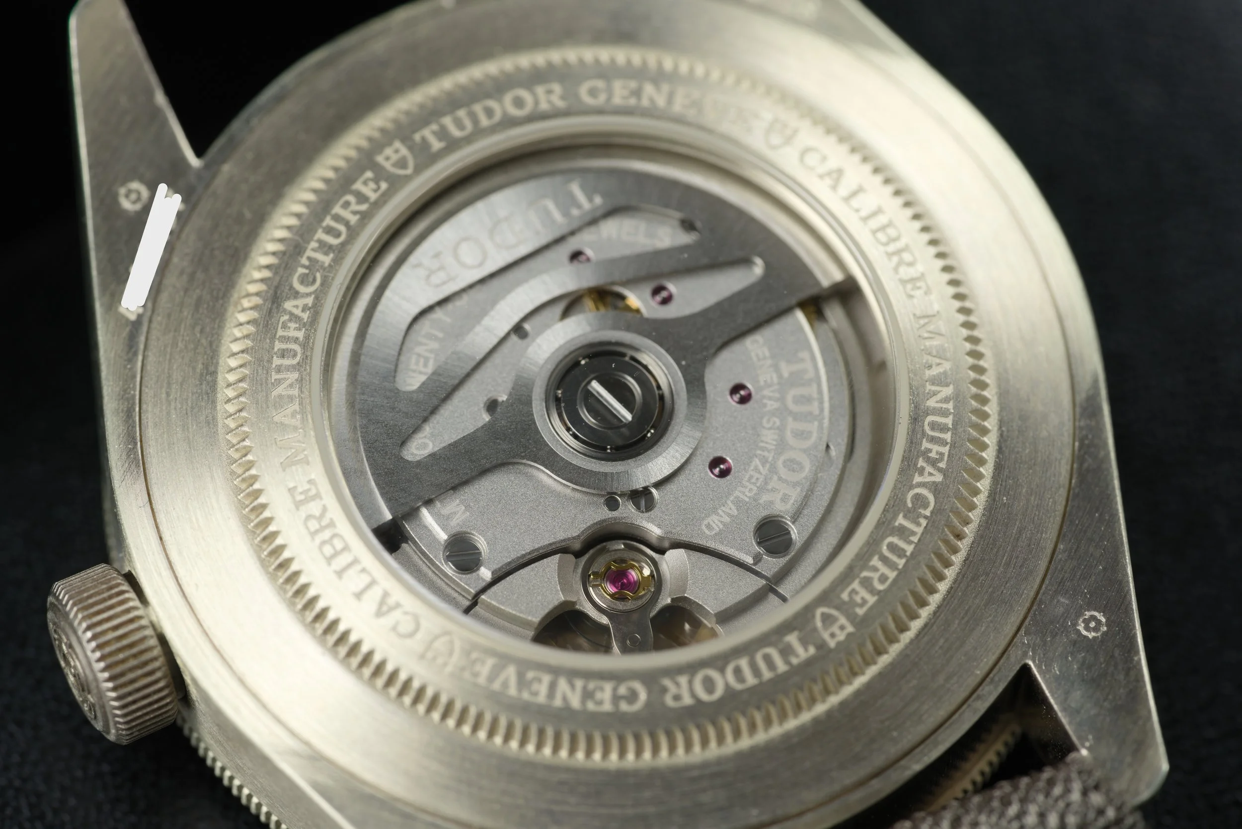 GIM00488.jpg
