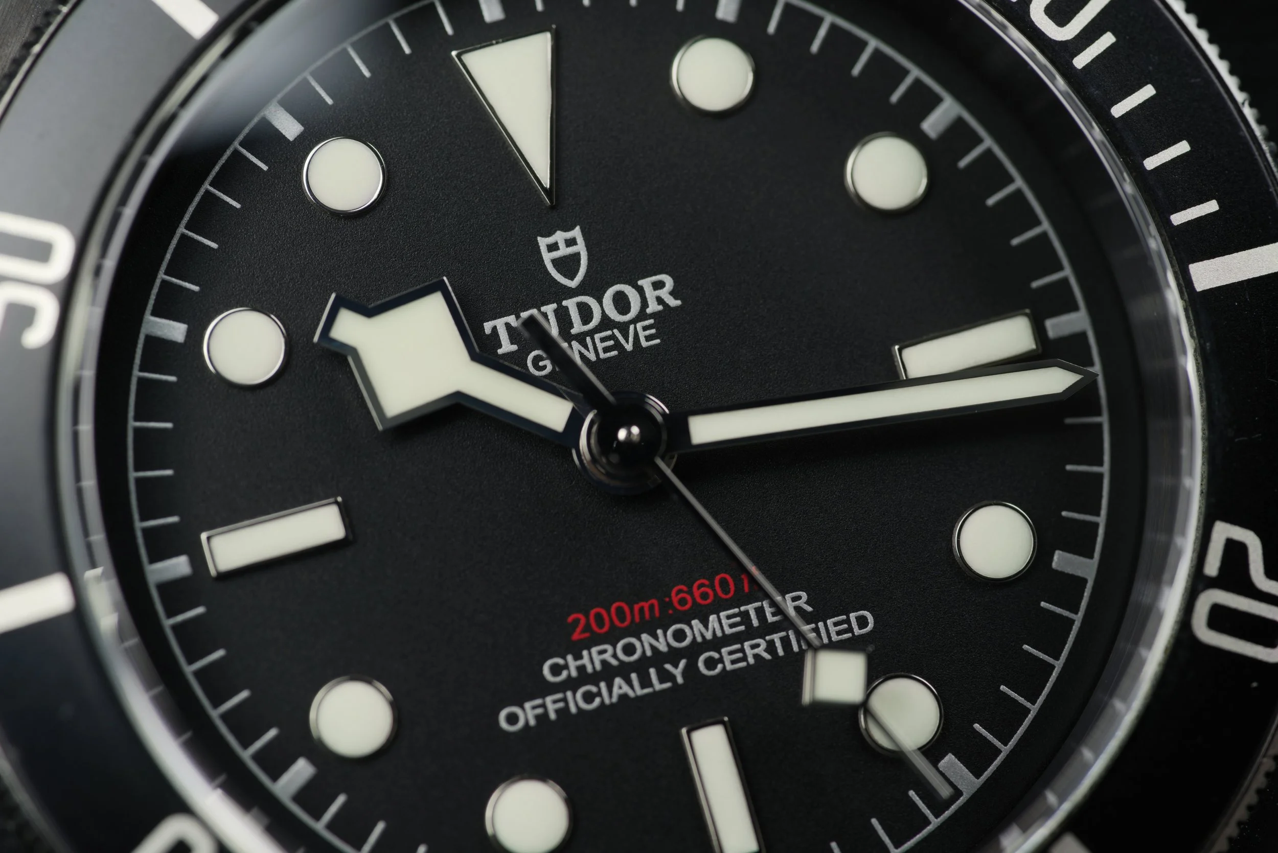 GIM00563.jpg