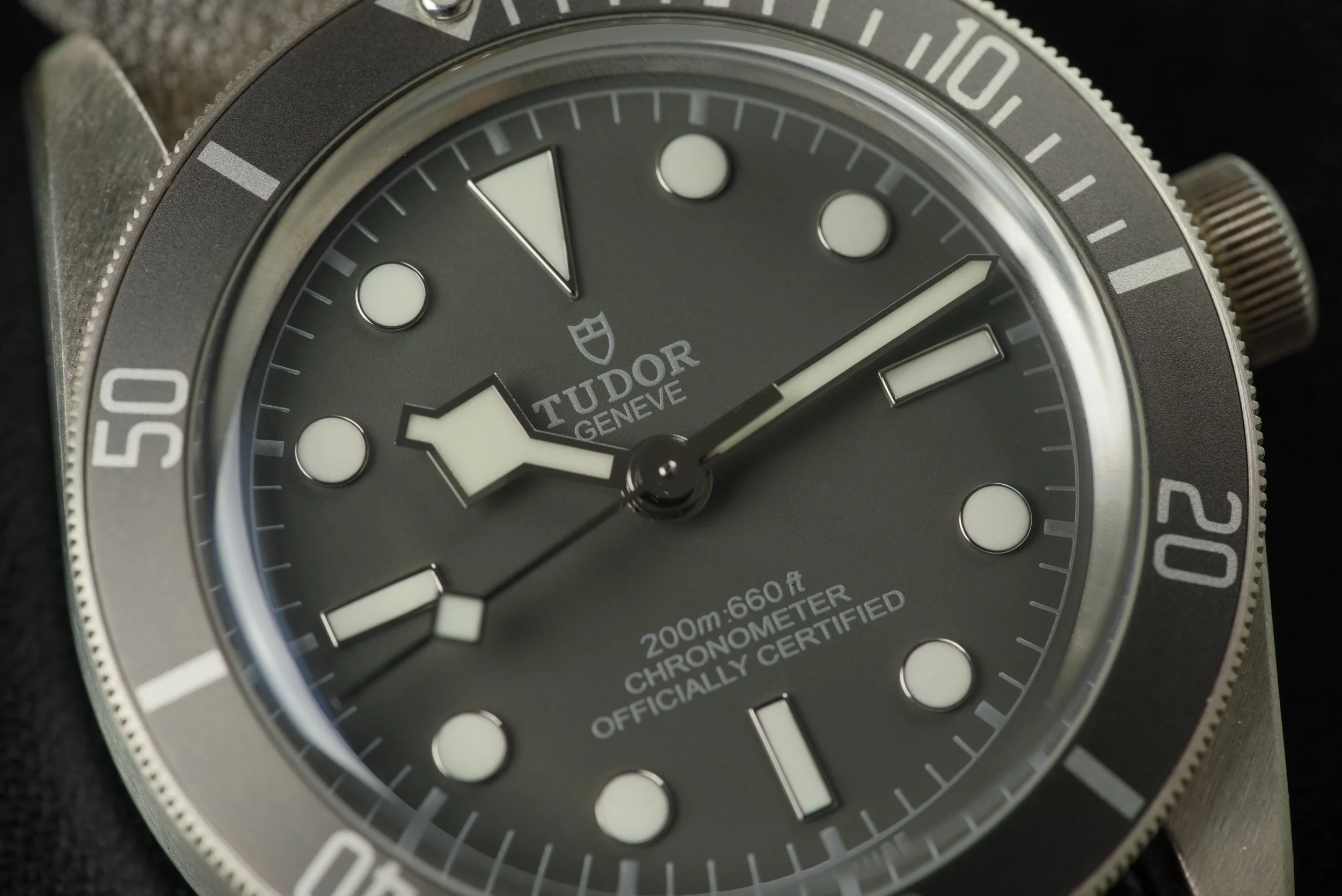 GIM00483.jpg