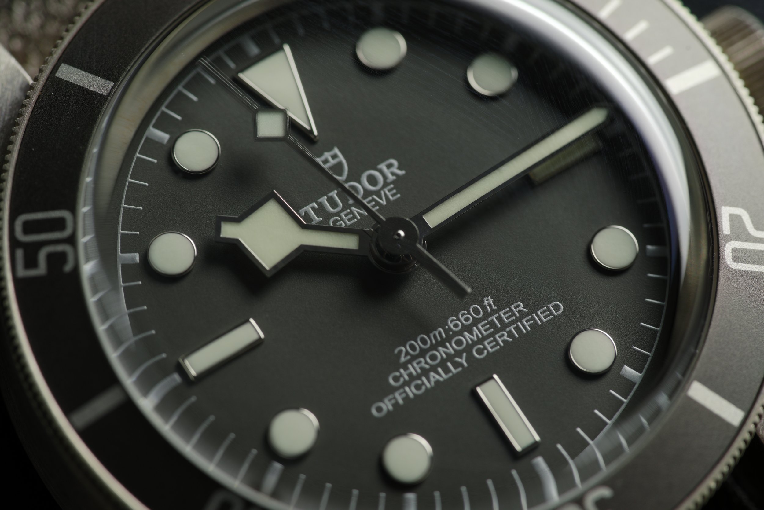 GIM00484.jpg