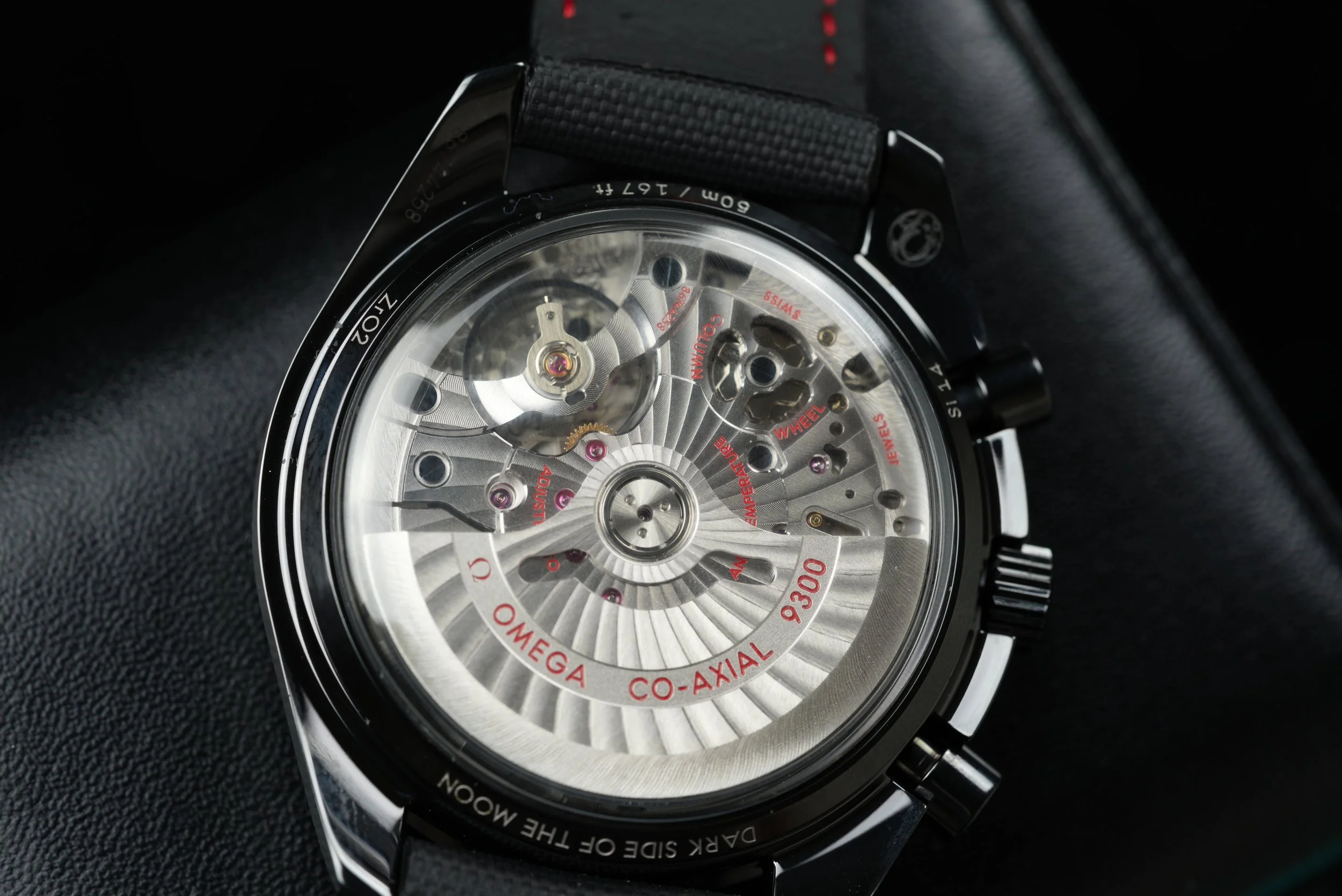 GIM00509.jpg