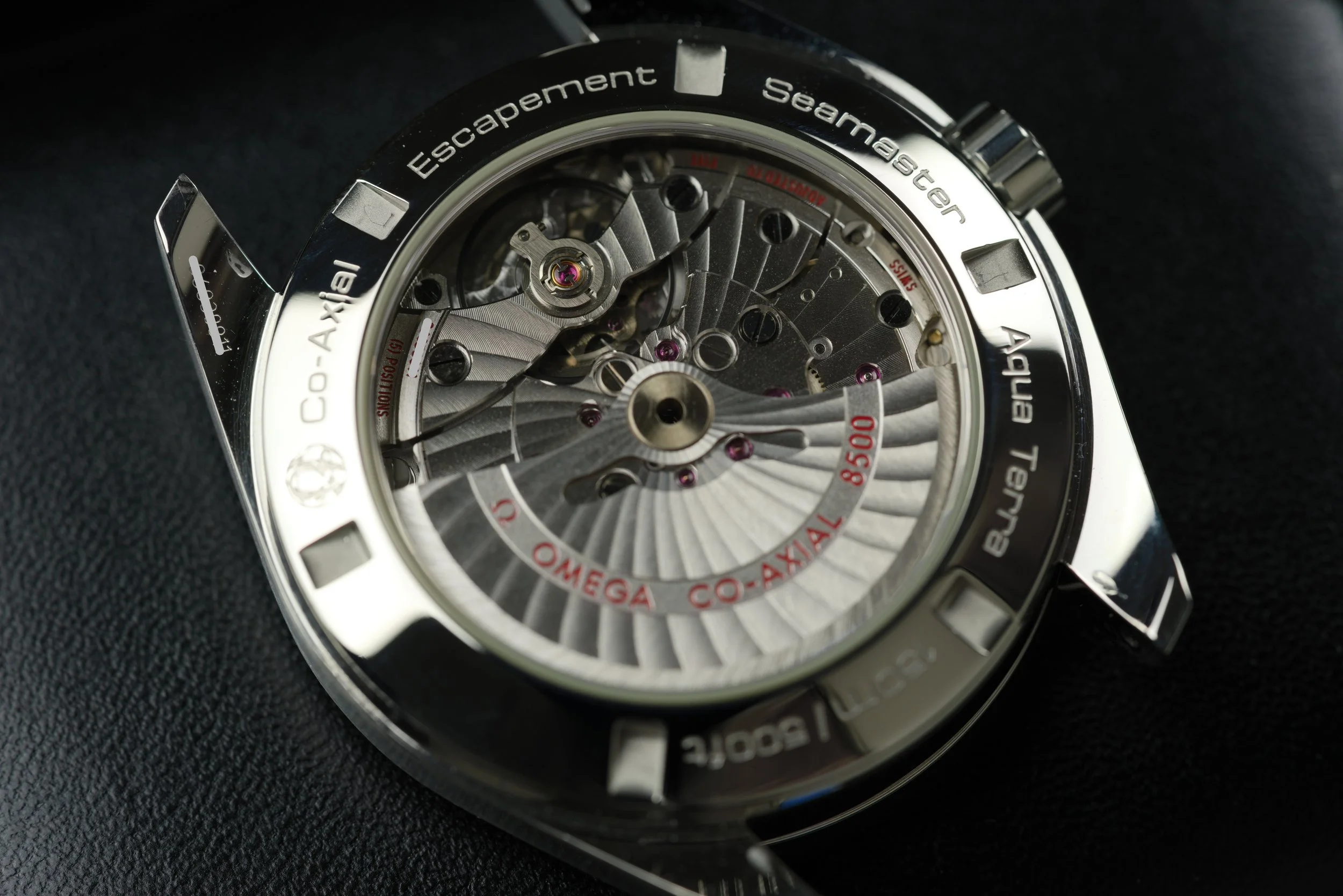 GIM00688.jpg