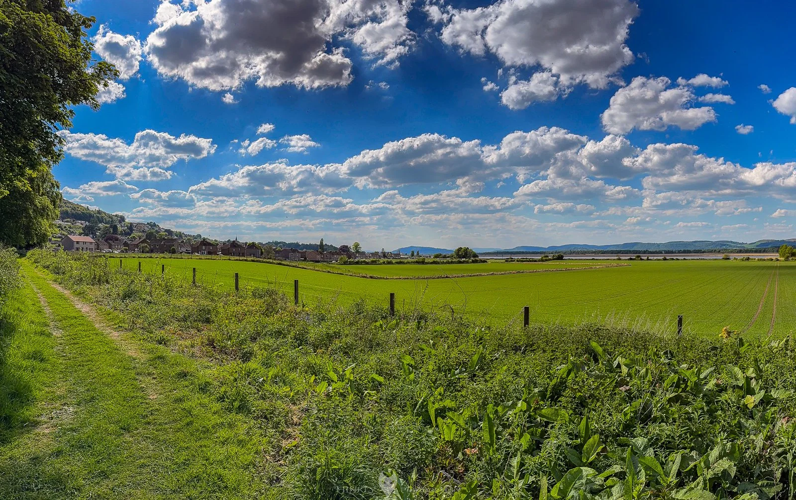 HinklyPhotography_2025_Oregon2022-47.jpg
