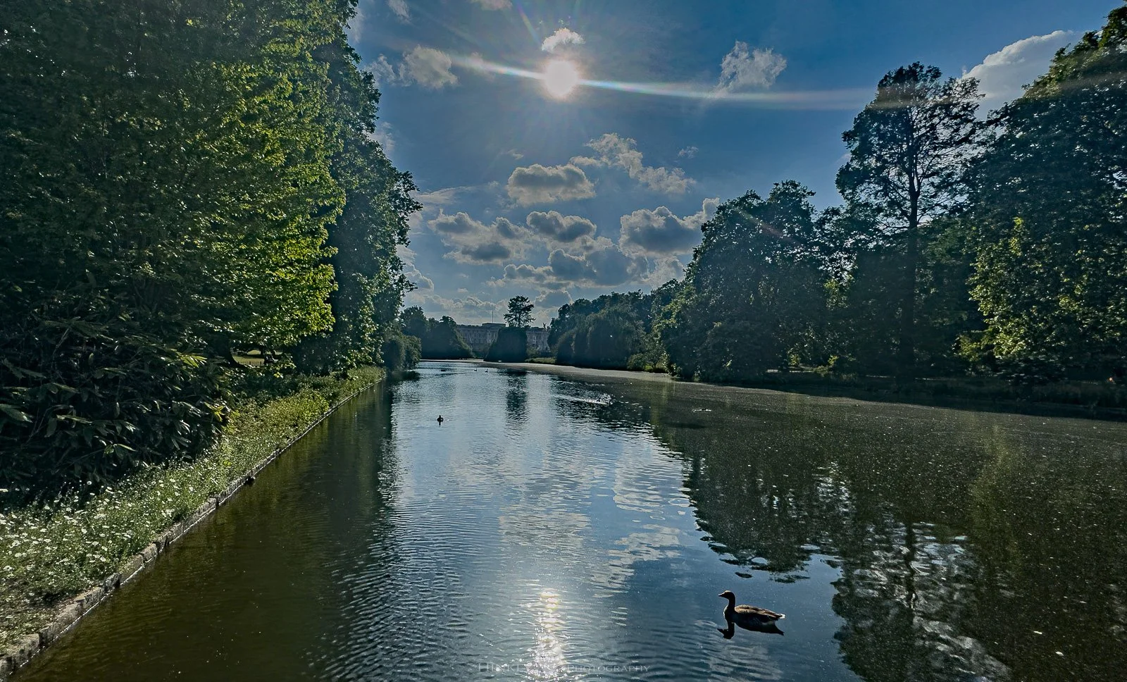 Hinkly_Photography_England-13.jpg