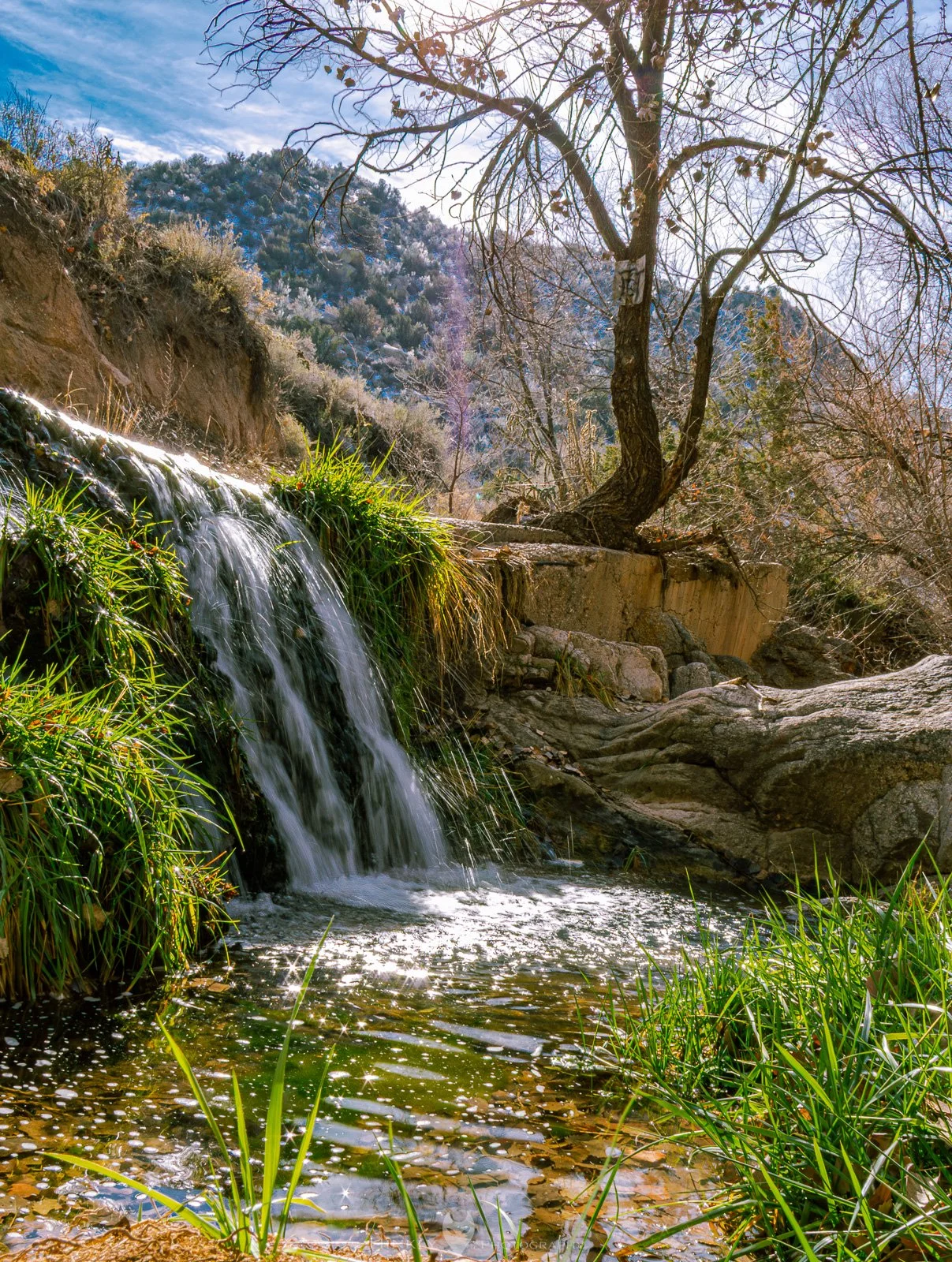 HinklyPhotography_2025_IG-2.jpg