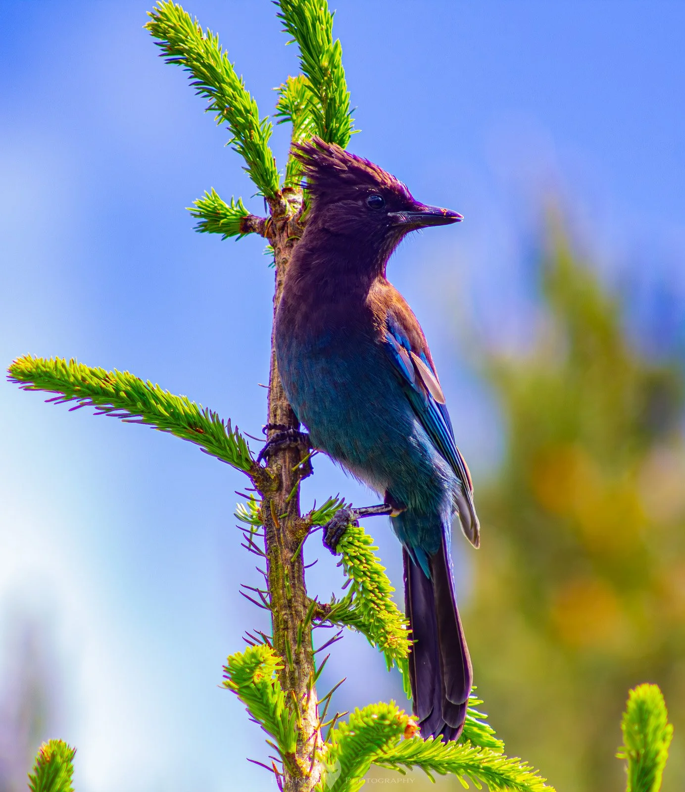 HinklyPhotography_2025_Oregon2022-29.jpg