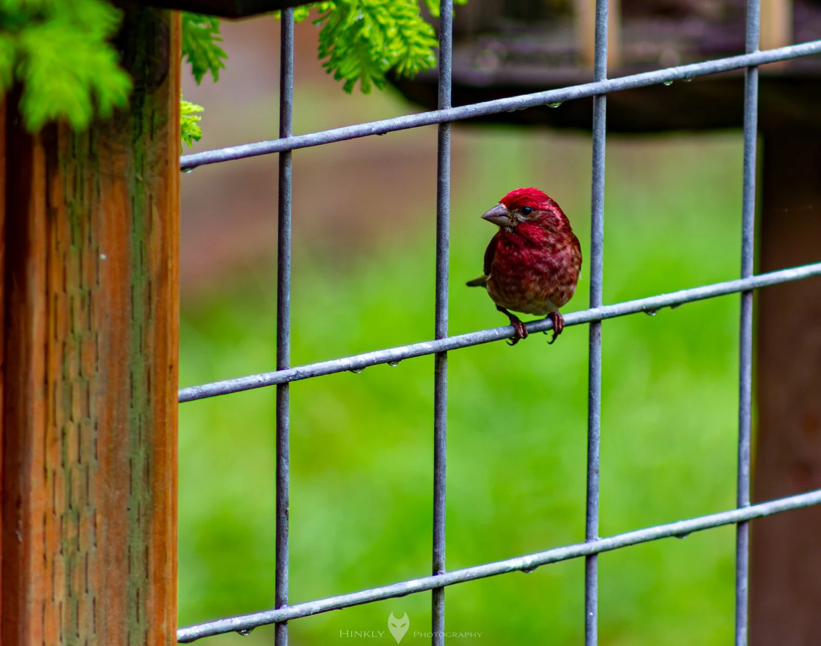 HinklyPhotography_2025_Oregon2022-7.jpg