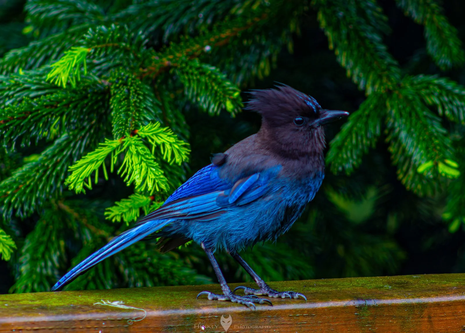 HinklyPhotography_2025_Oregon2022-8.jpg