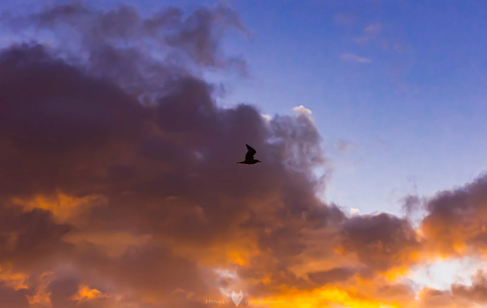 HinklyPhotography_2025_Oregon2019-13.jpg