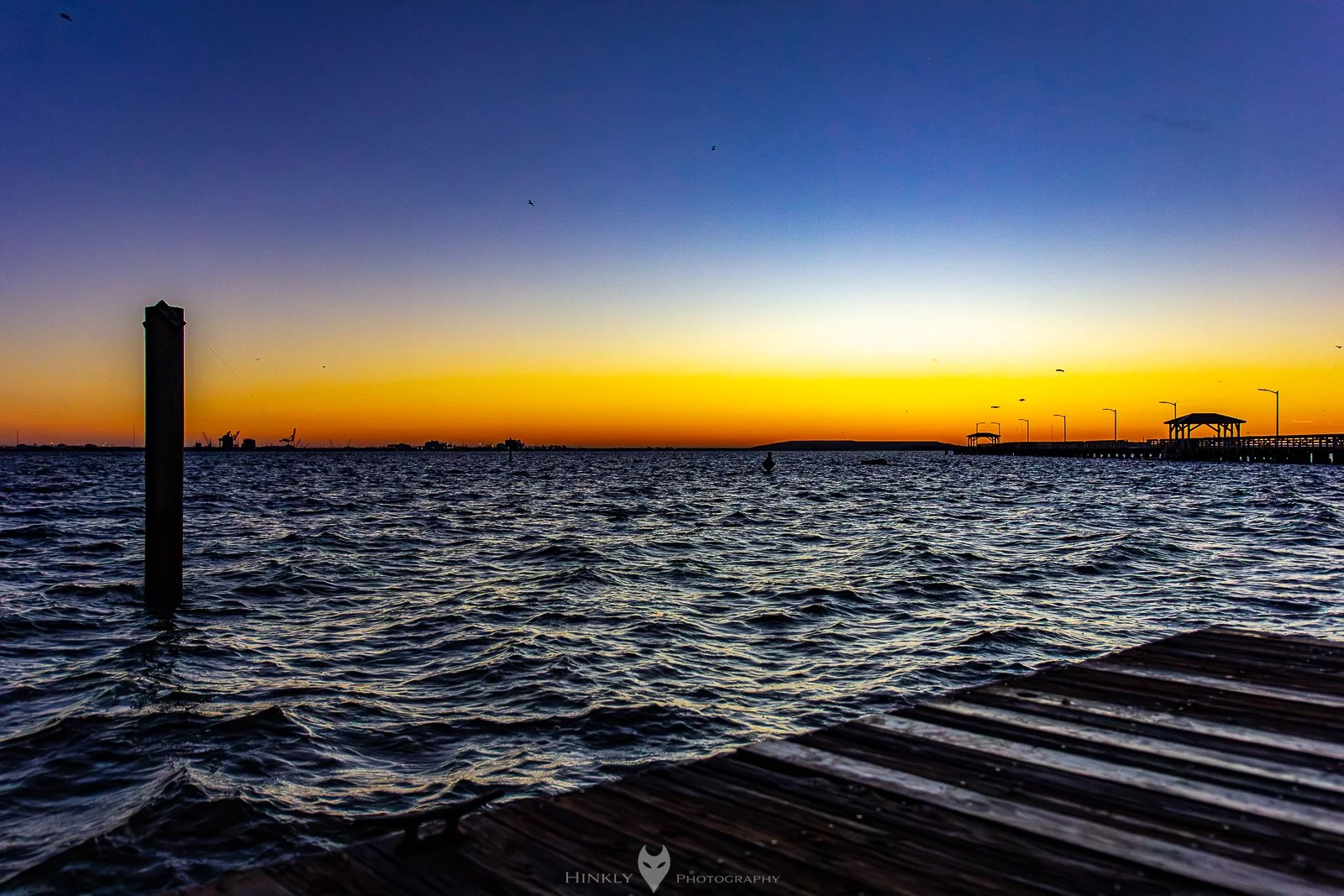 Hinkly_Photography_Tampa-12.jpg