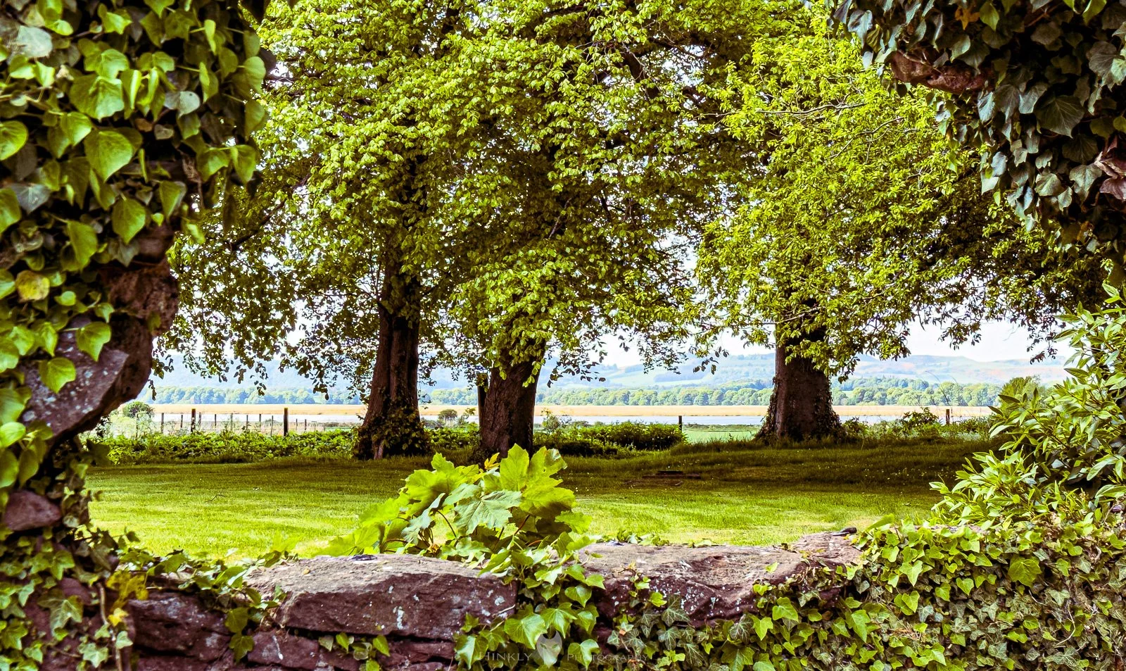 HinklyPhotography_2025_Oregon2022-44.jpg
