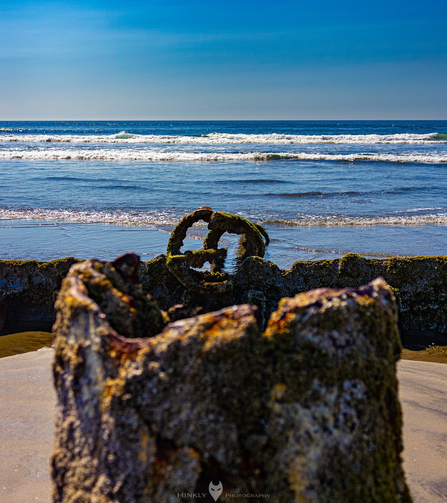HinklyPhotography_2025_Oregon2022-8.jpg