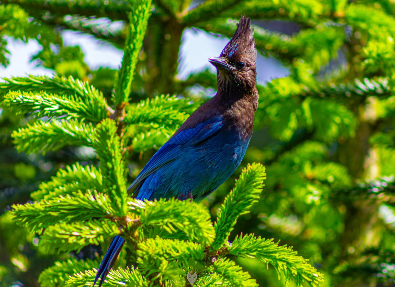 HinklyPhotography_2025_Oregon2022-36.jpg