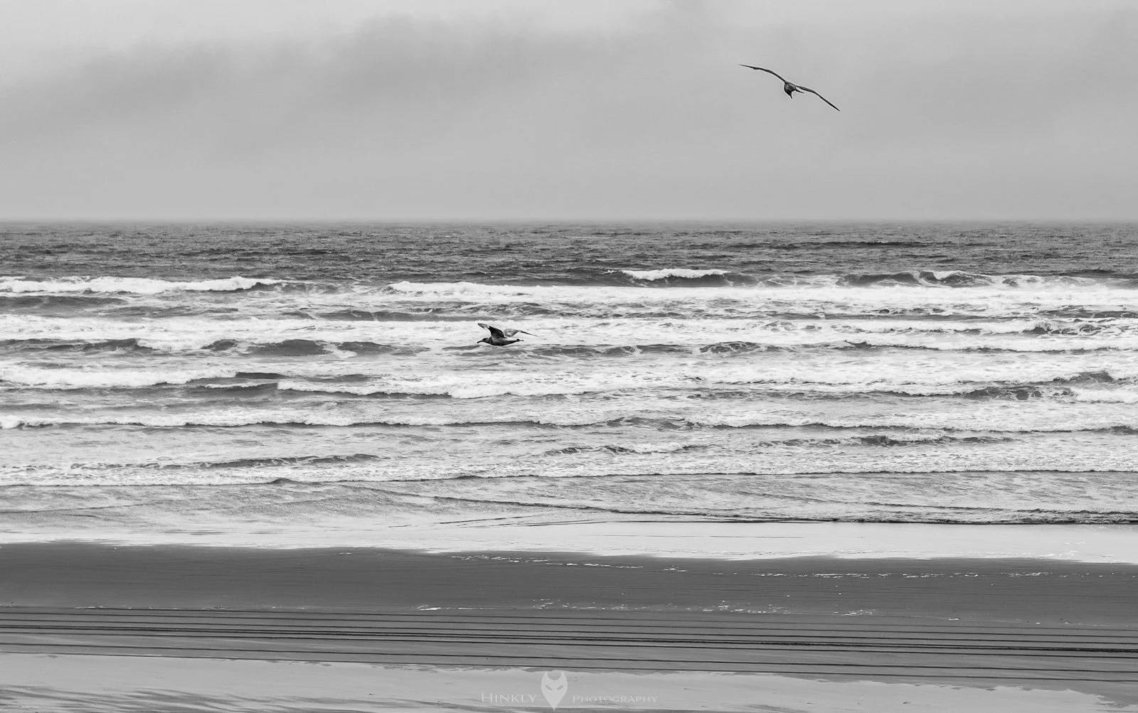 HinklyPhotography_2025_Oregon2022-5.jpg