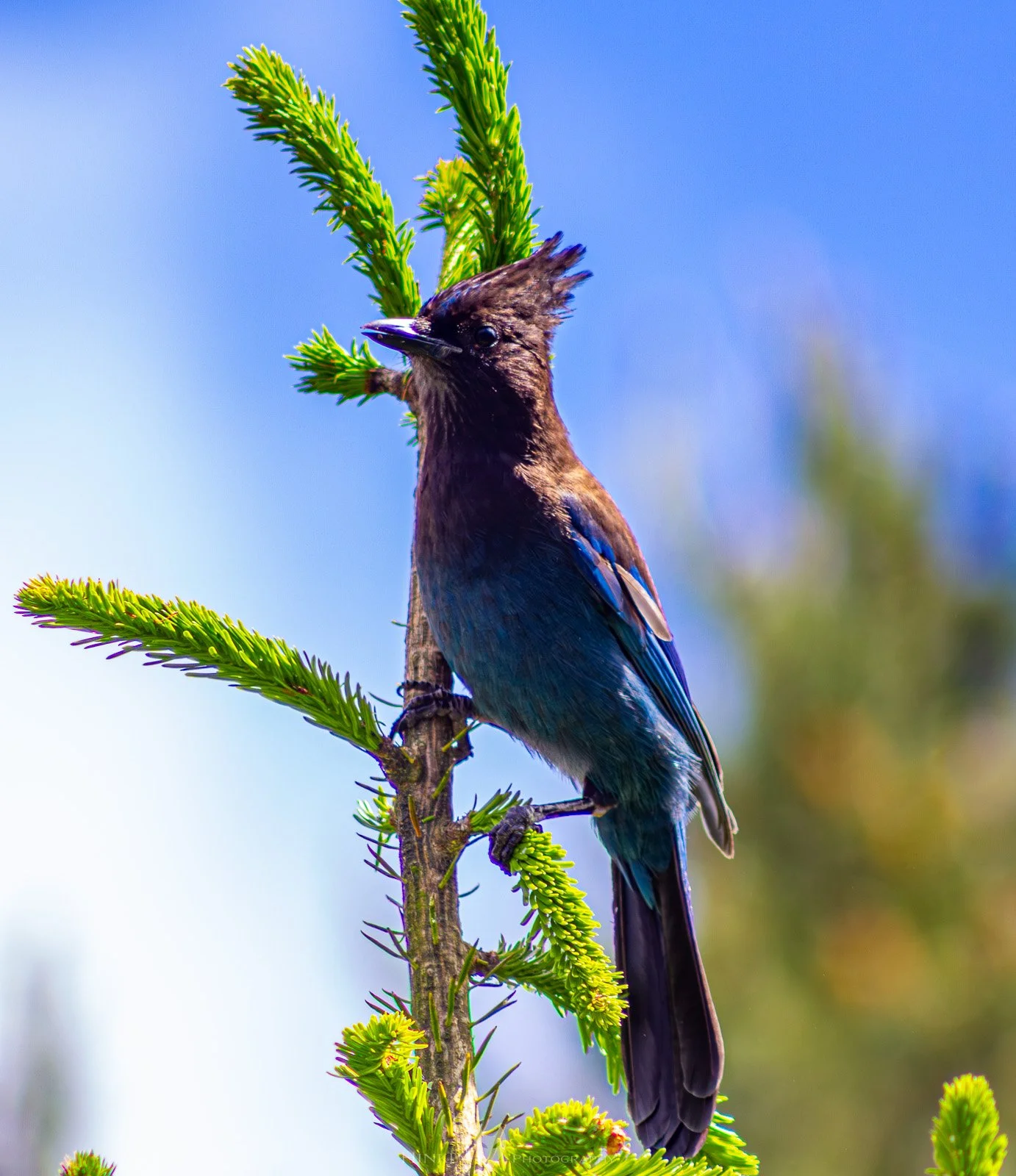 HinklyPhotography_2025_Oregon2022-28.jpg