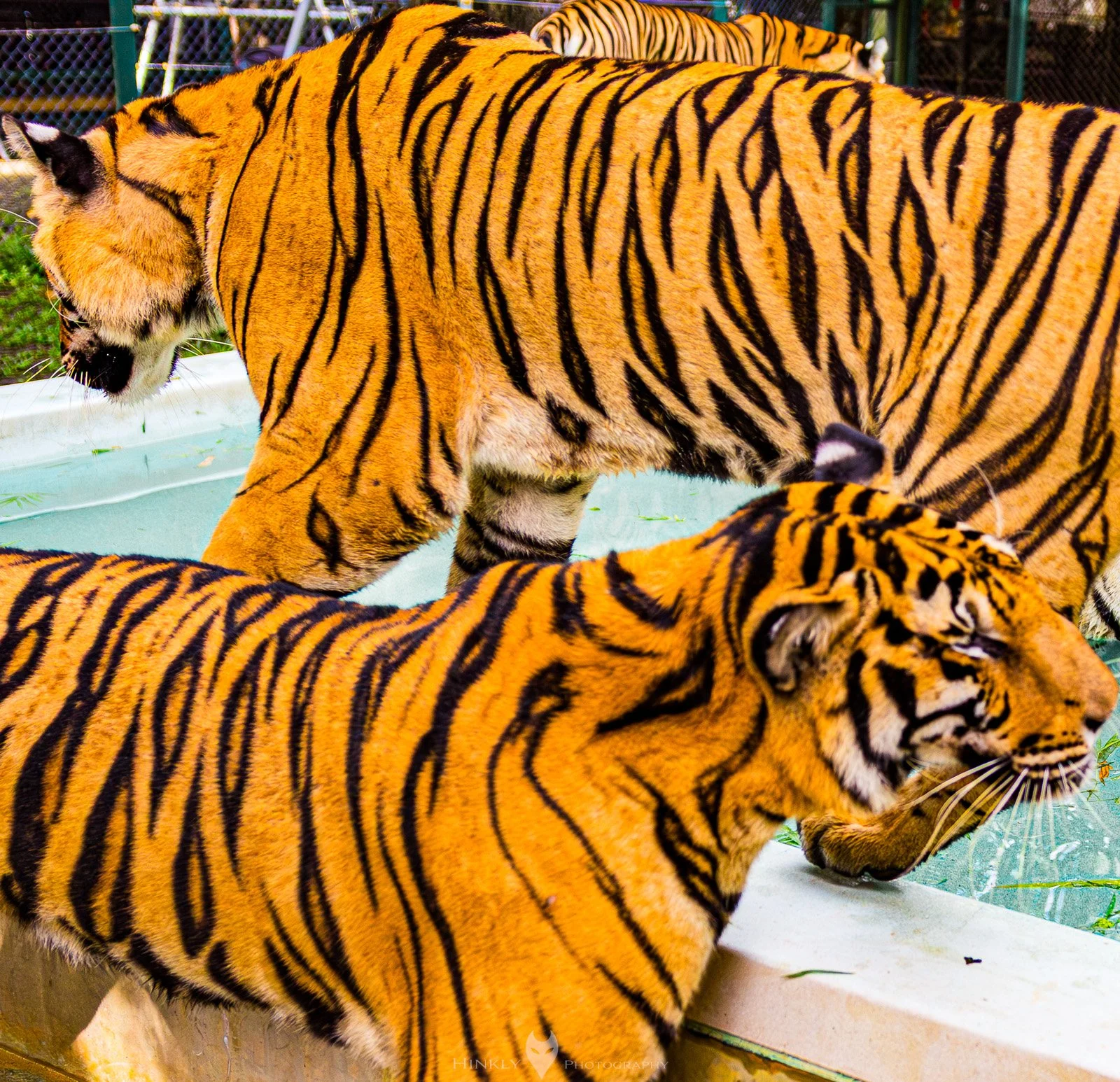 HinklyPhotography_2025_Thailand-4.jpg