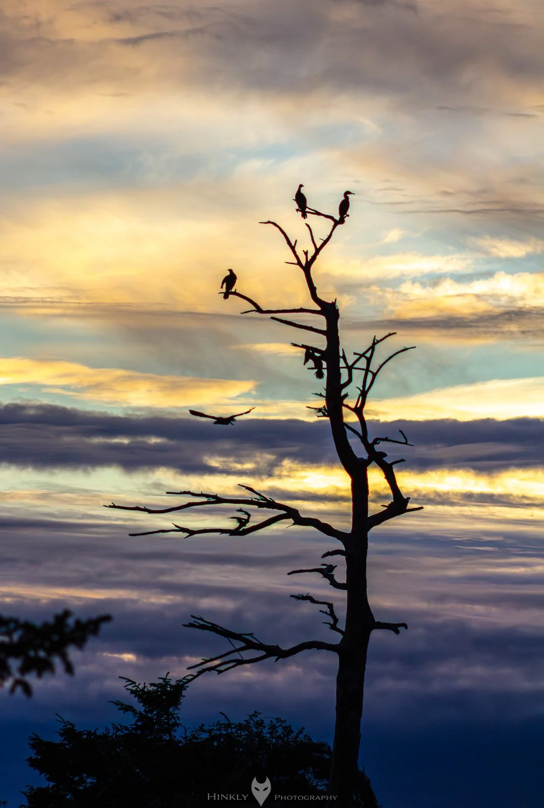 HinklyPhotography_2025_Oregon2022-22.jpg