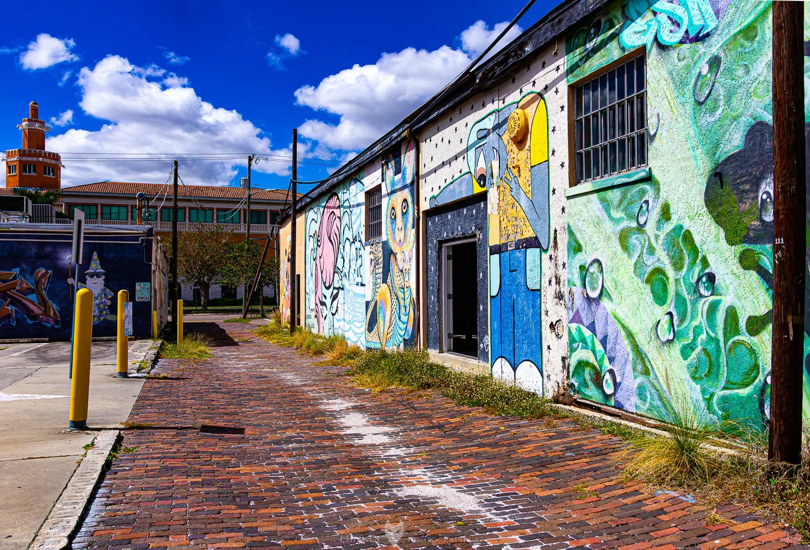 Hinkly_Photography_Tampa-1.jpg