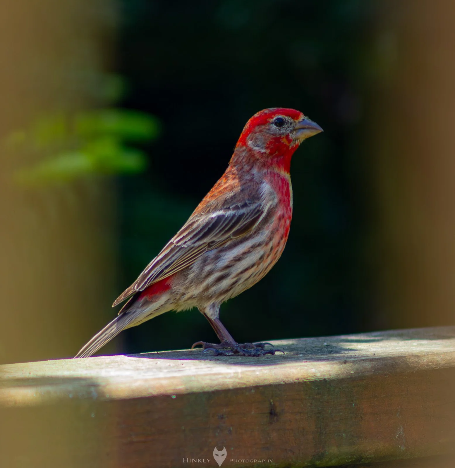 HinklyPhotography_2025_Oregon2022-19.jpg