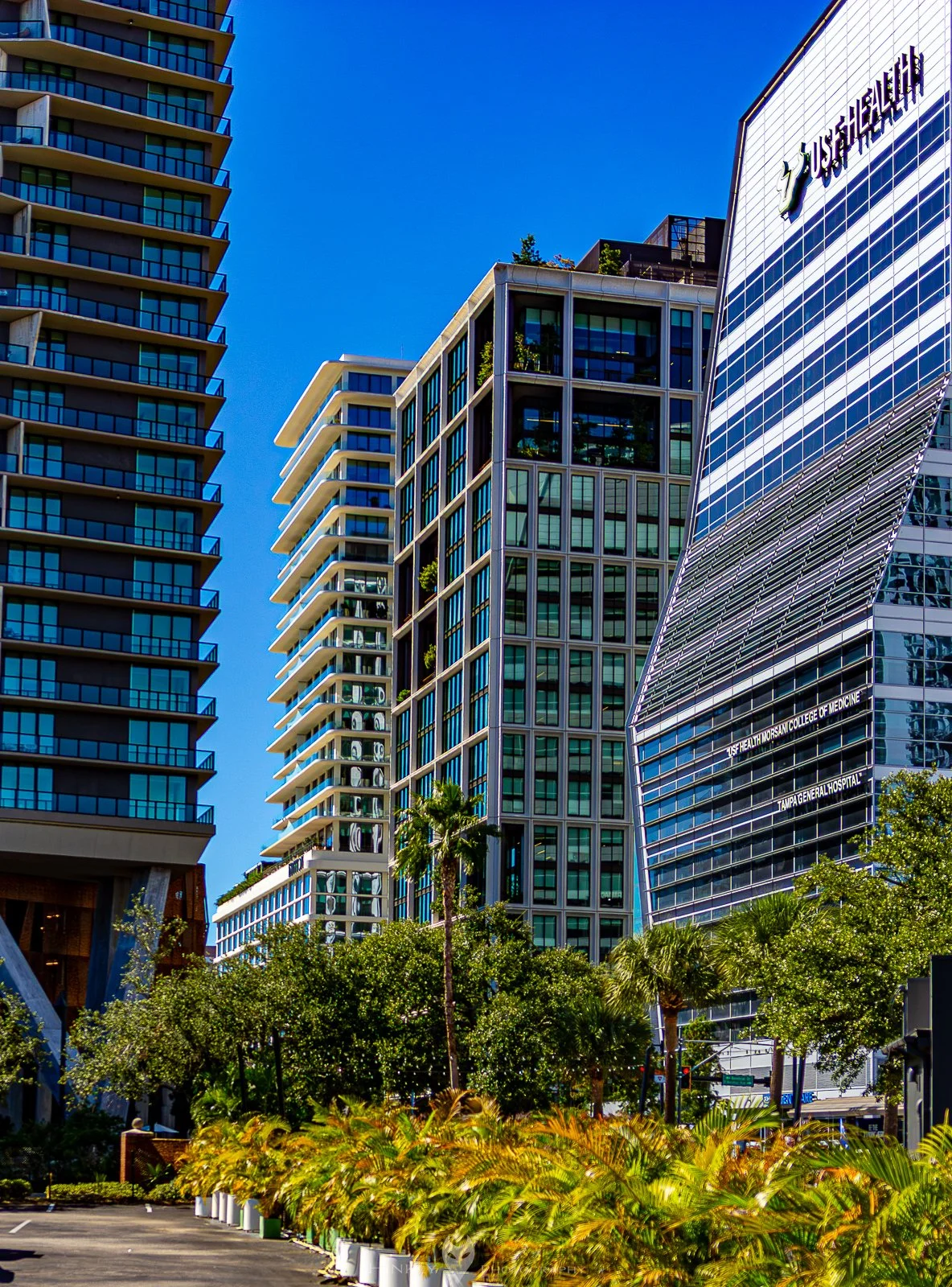 Hinkly_Photography_Tampa-27.jpg