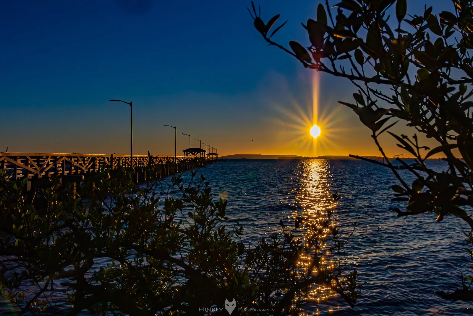 Hinkly_Photography_Tampa-24.jpg
